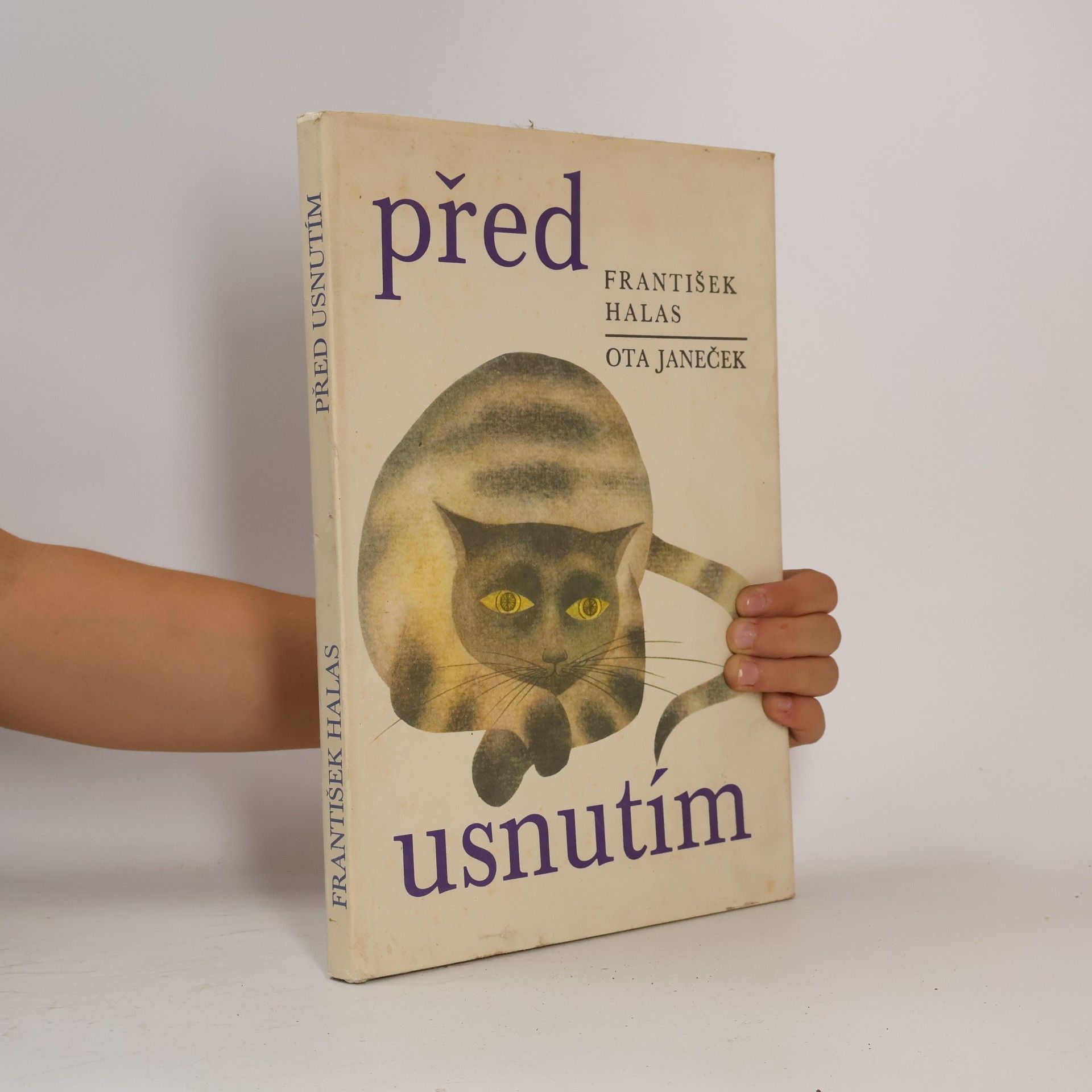 Před usnutím