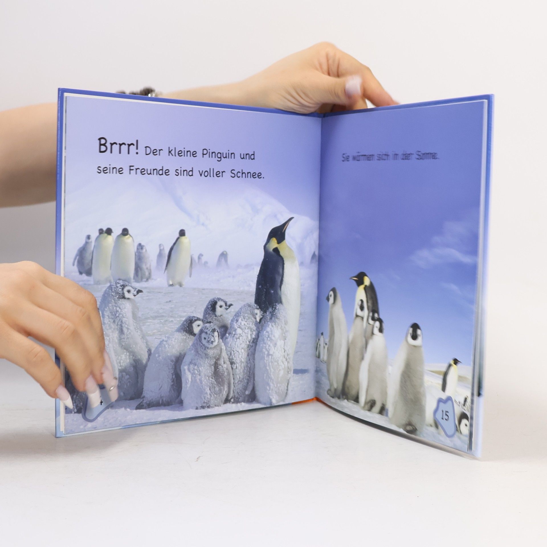 Michael Teitelbaum So lebt der kleine Pinguin
