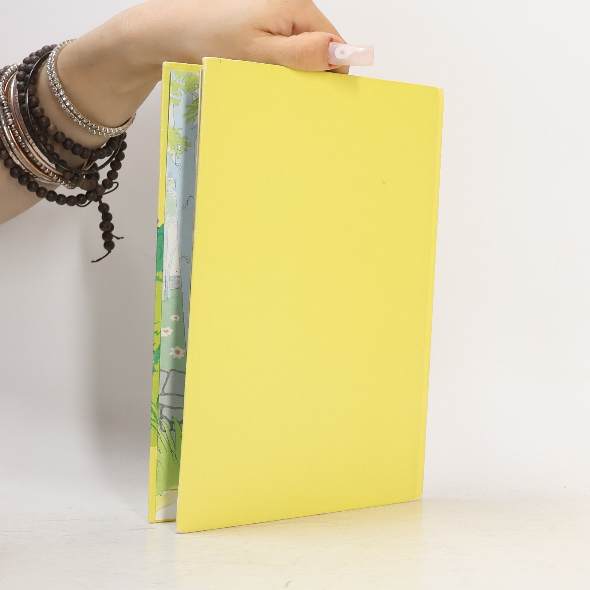 Various authors Der kleine Wolf als Musterschüler