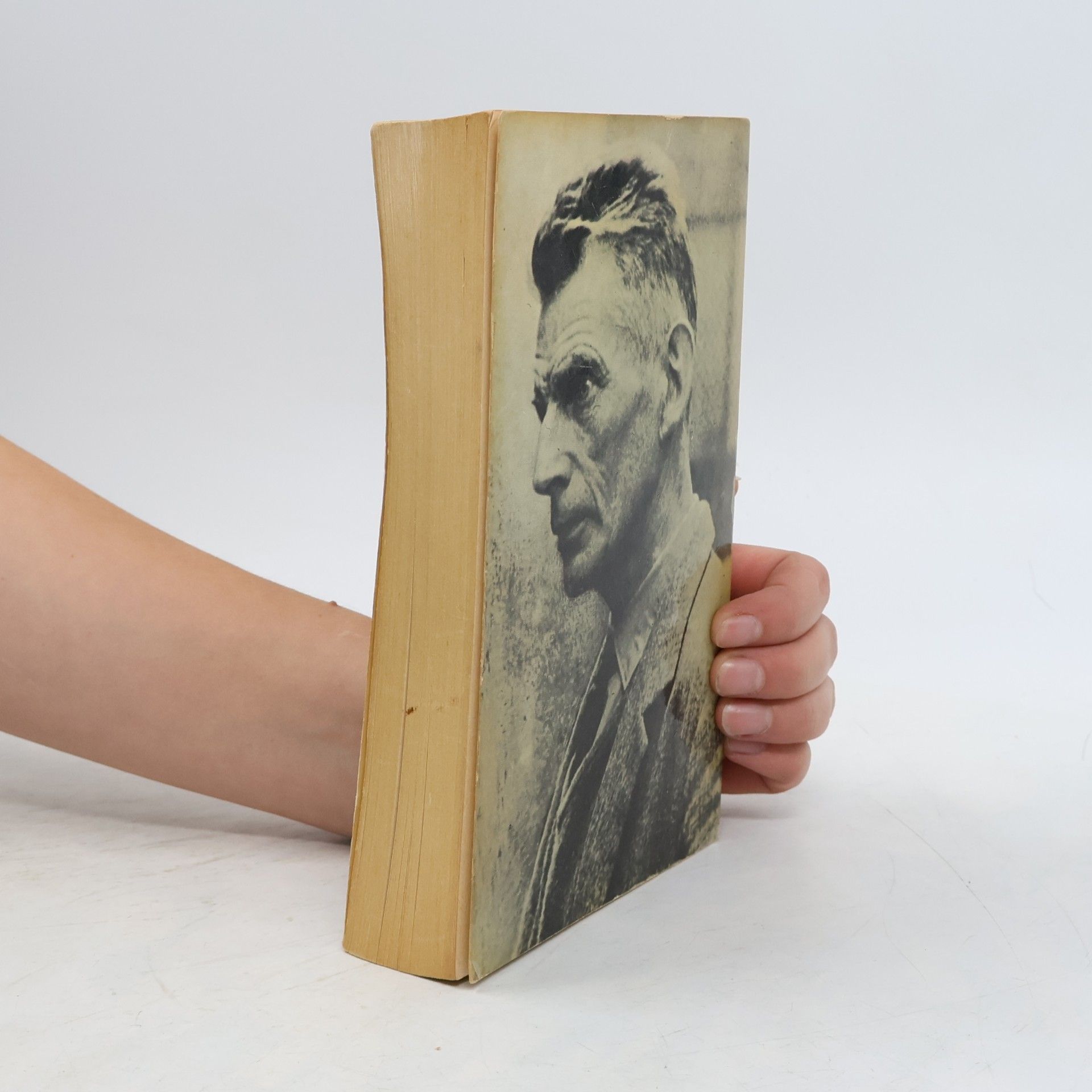 Samuel Beckett Molloy/Malone sterft/Naamloos