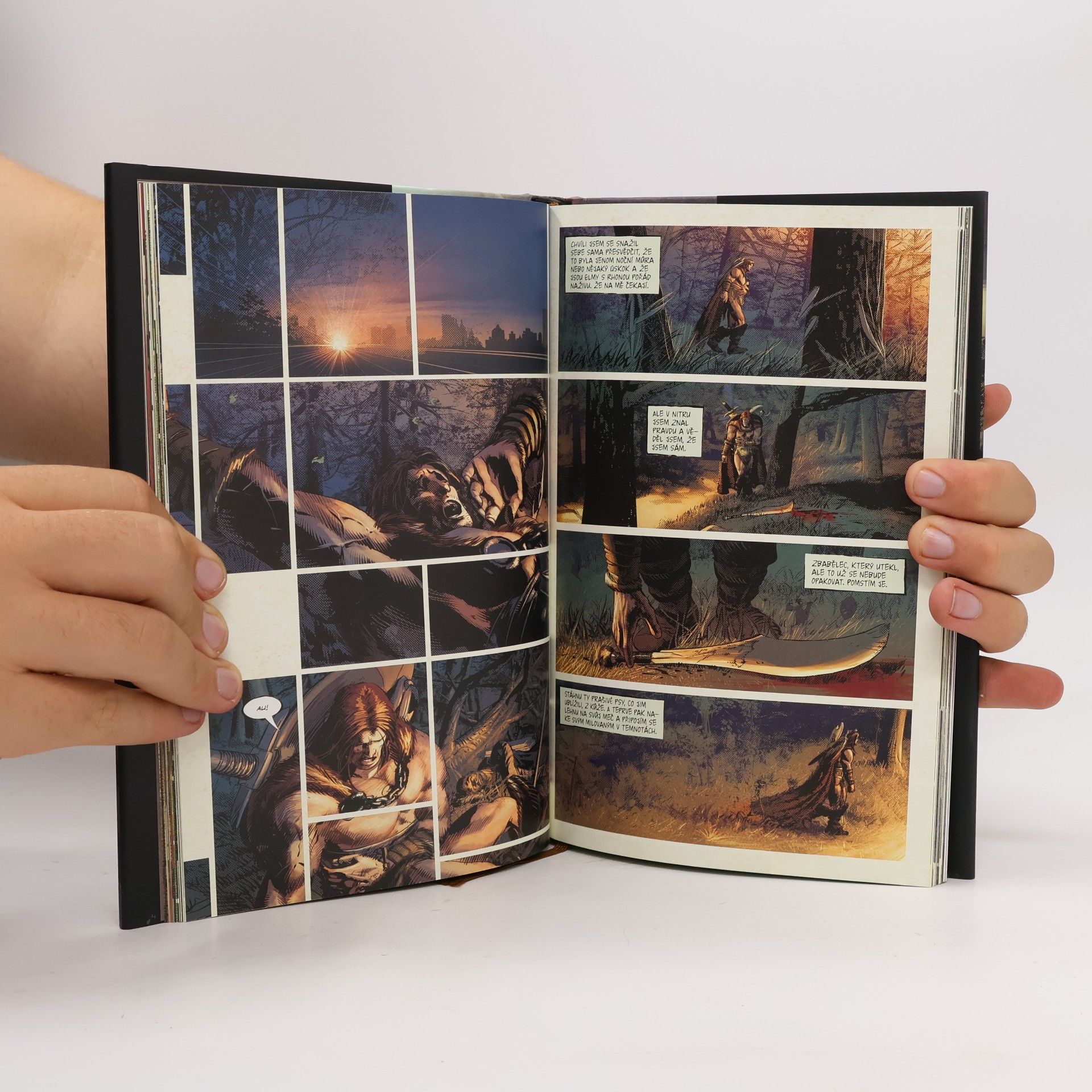 Jeff Lemire Nezkrotný Berserkr