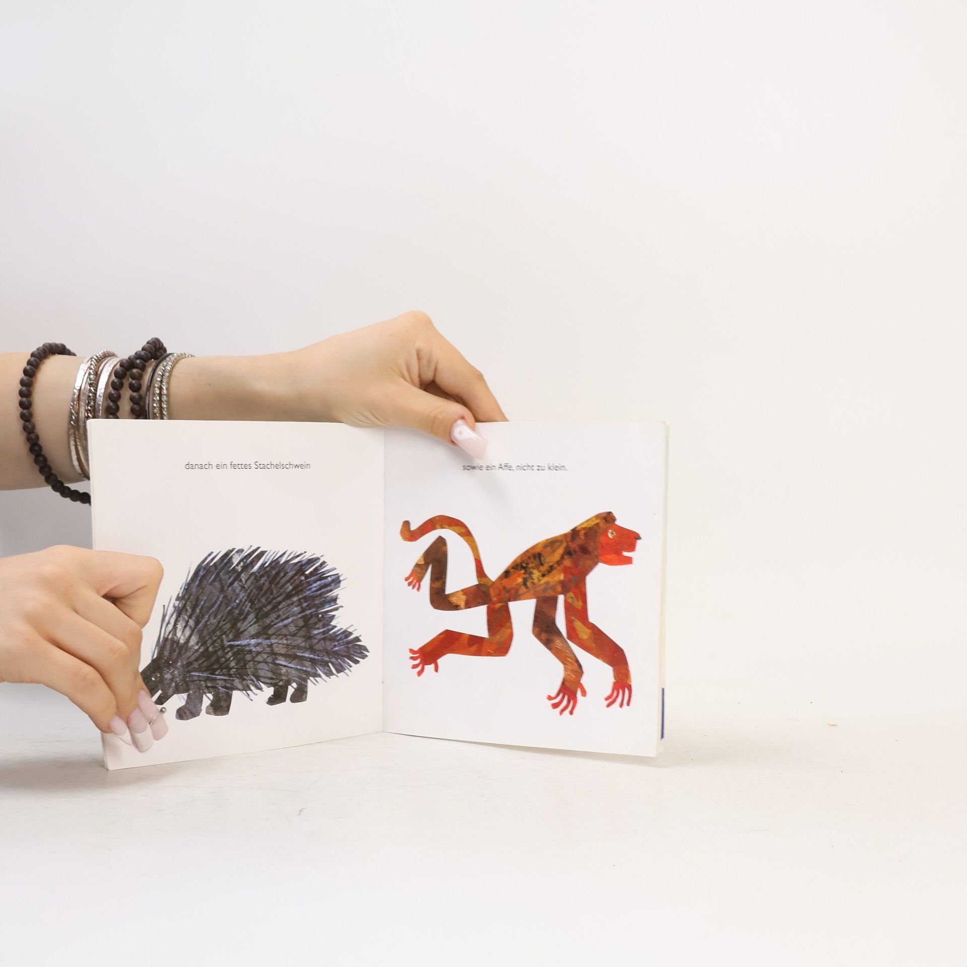 Eric Carle Die Riesenschlange Sansibar