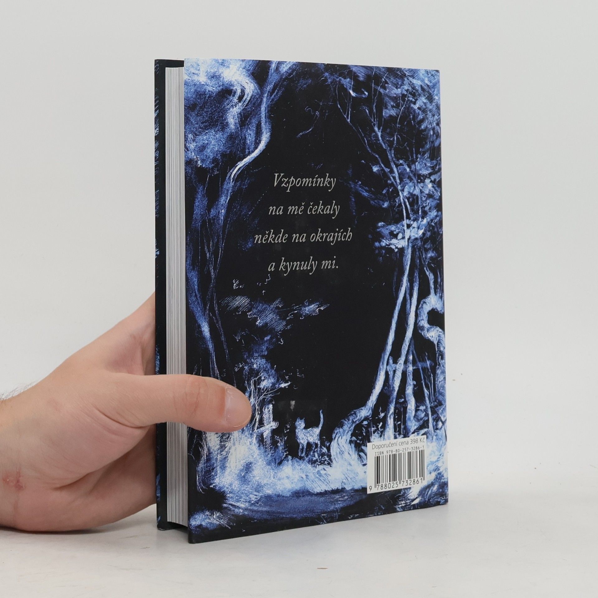 Neil Gaiman Oceán na konci cesty