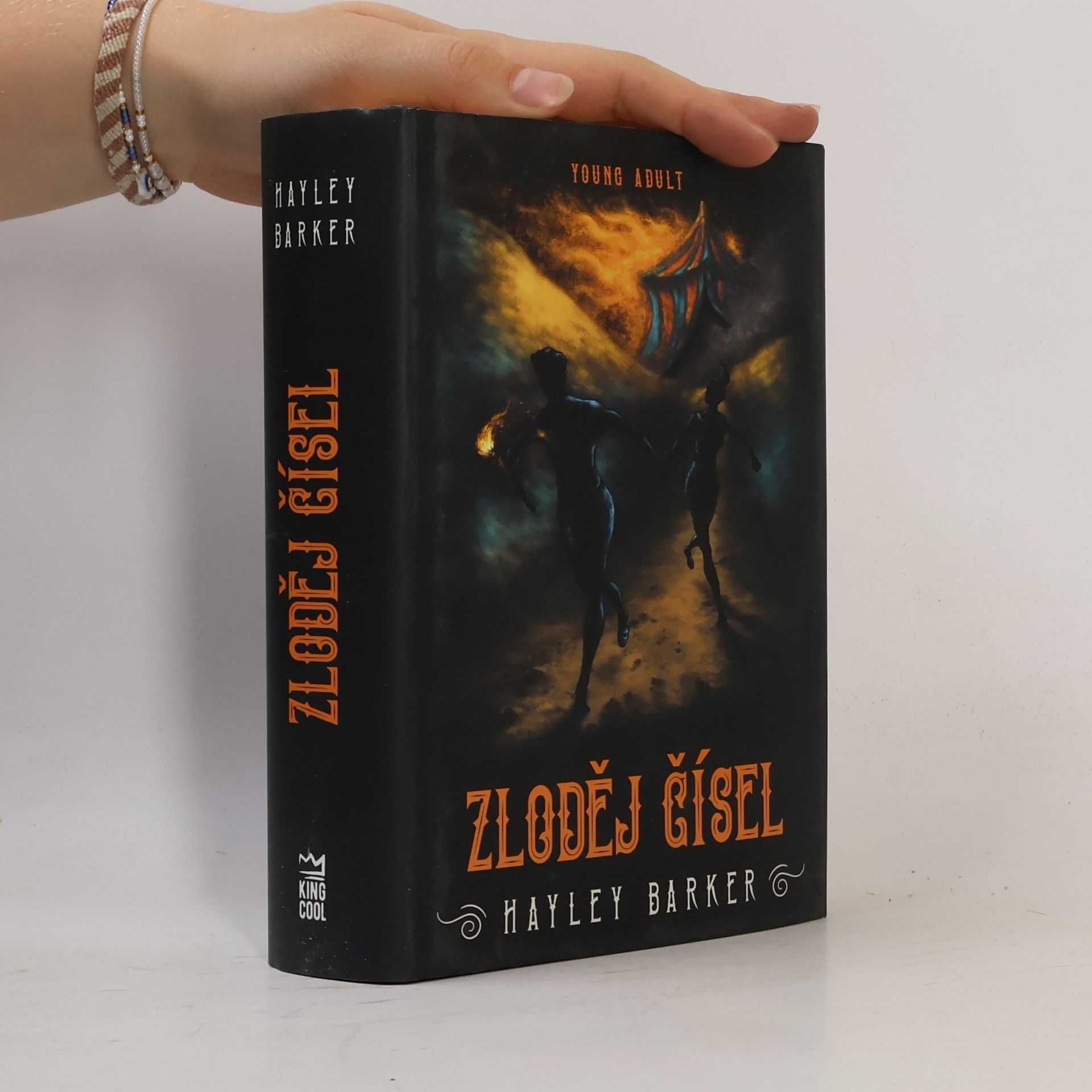 Hayley Barker Zloděj čísel