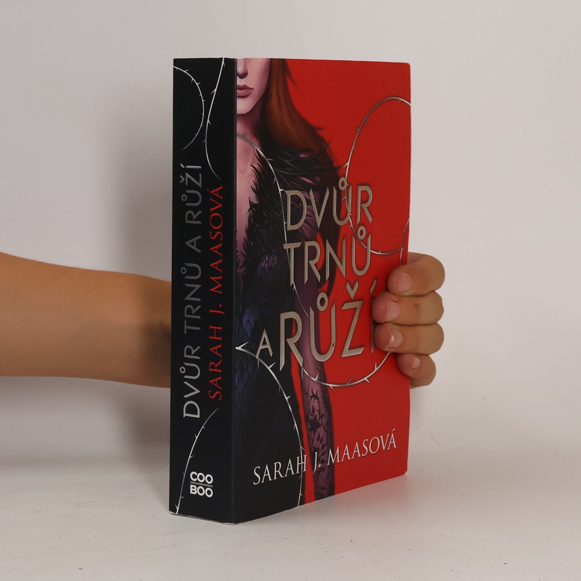 Sarah J. Maas Dvůr trnů a růží
