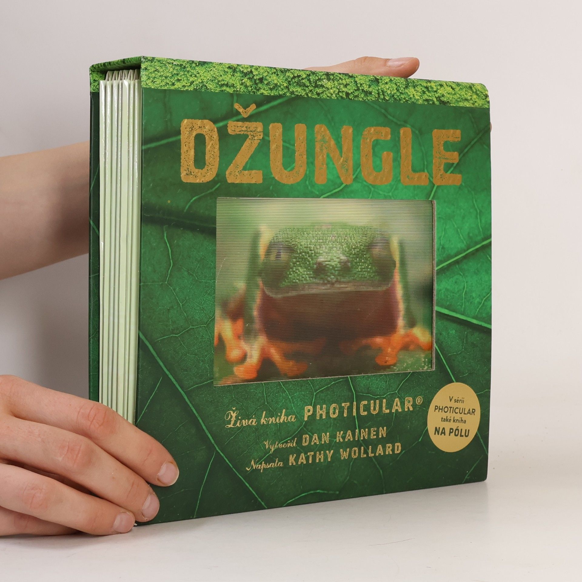 Dan Kainen Džungle