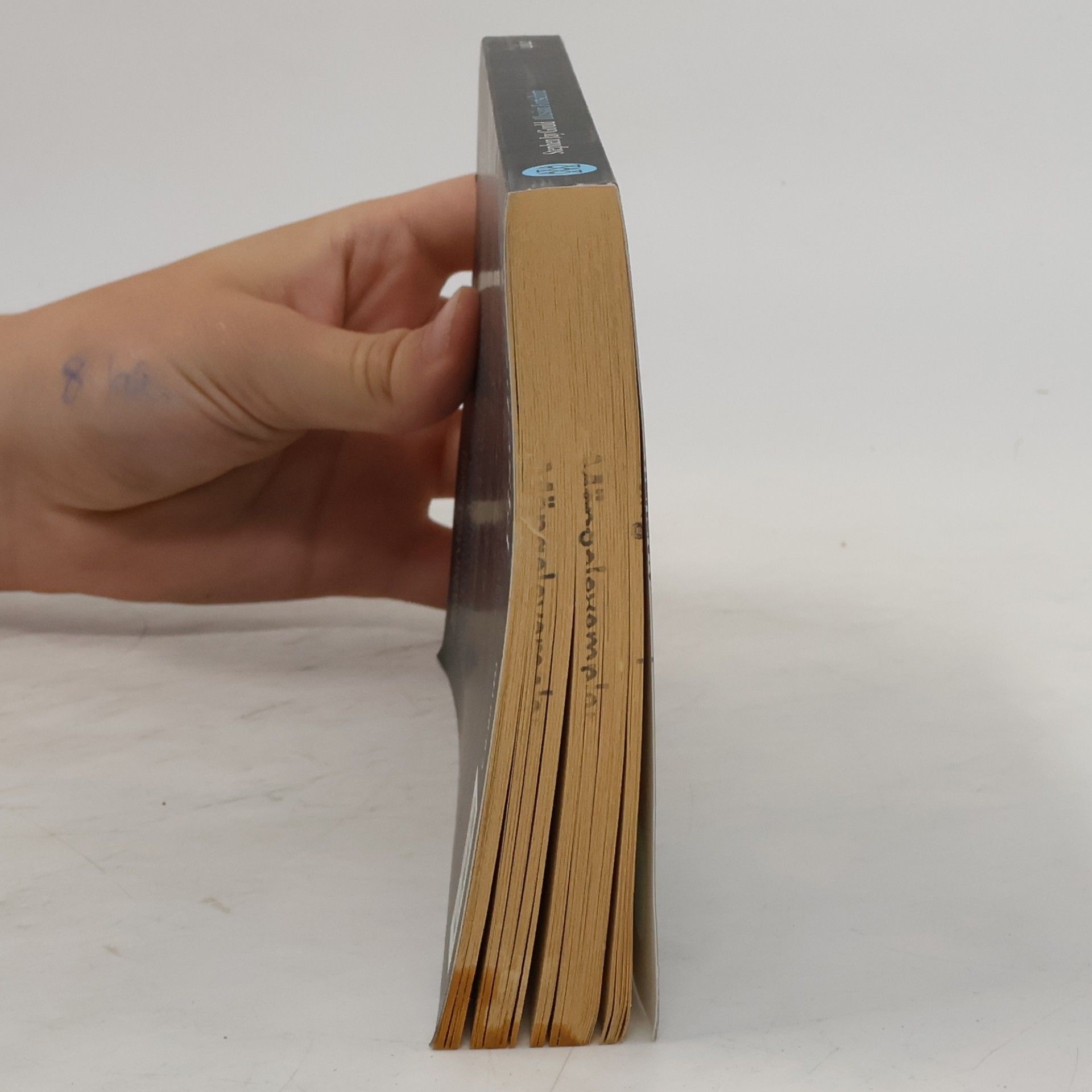 Stephen Jay Gould Illusion Fortschritt