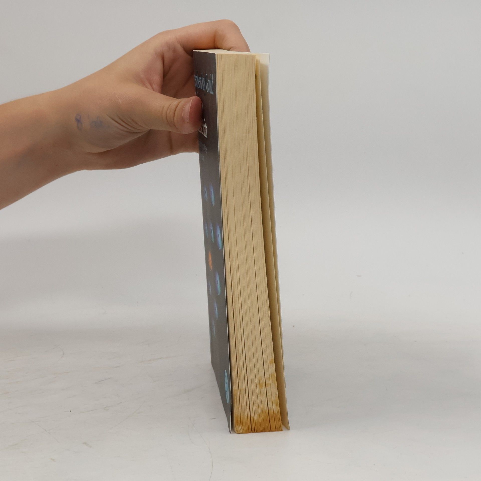 Stephen Jay Gould Illusion Fortschritt