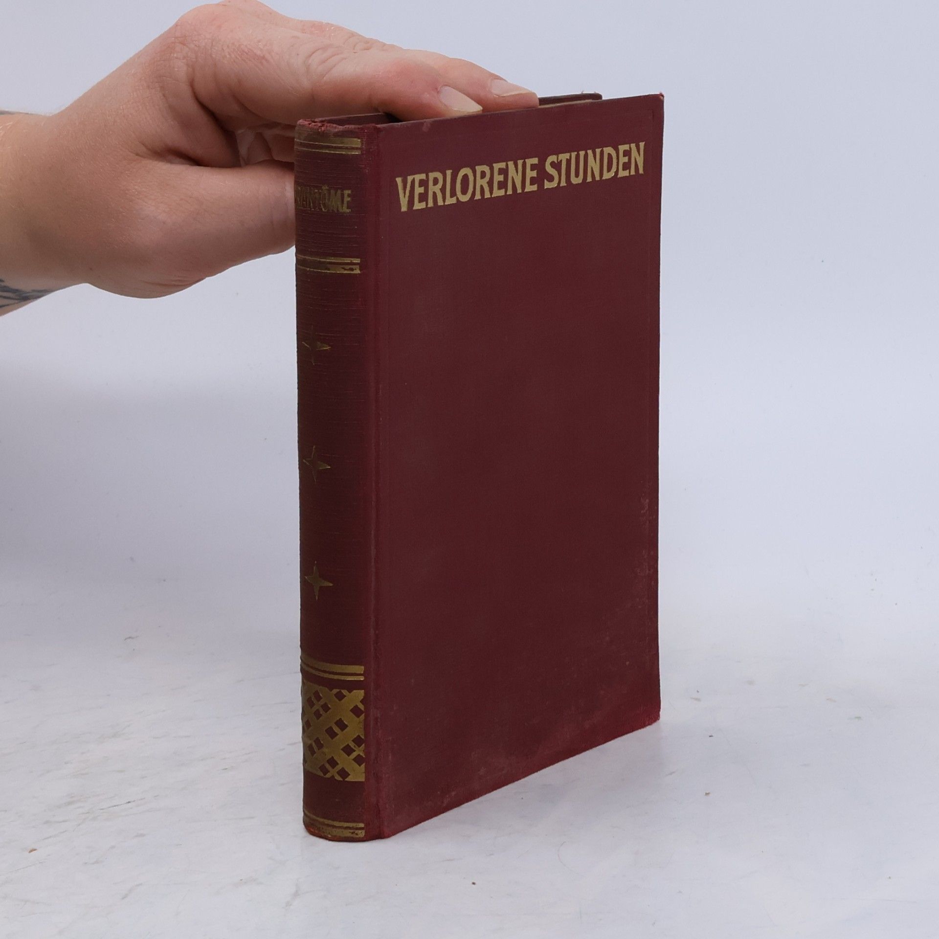 Kolektiv autorů Verlorene Stunden