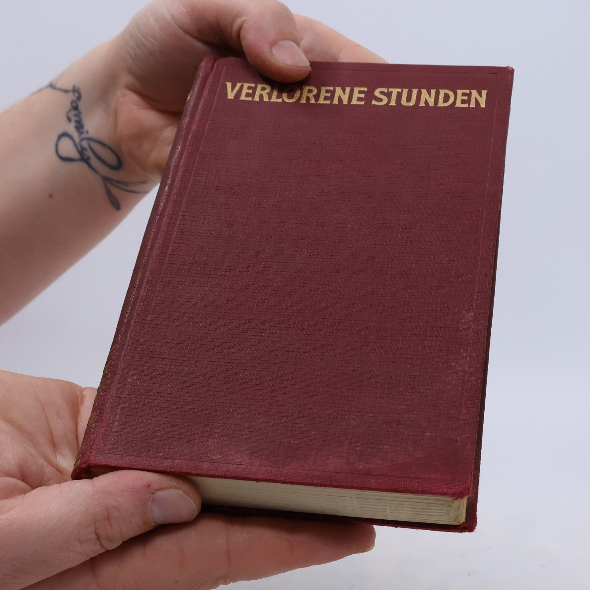 Kolektiv autorů Verlorene Stunden