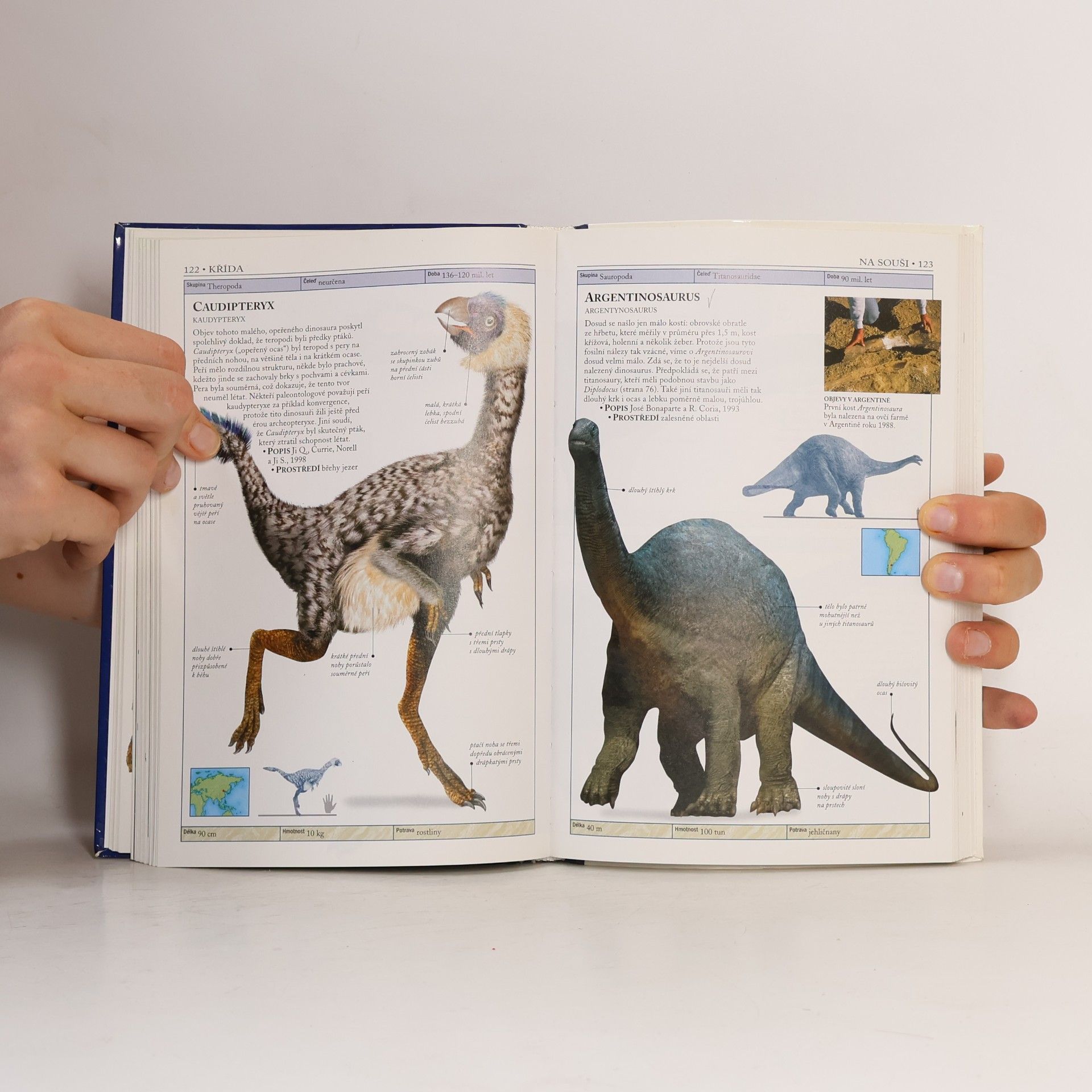 Hazel Richardson Dinosauři a život v pravěku