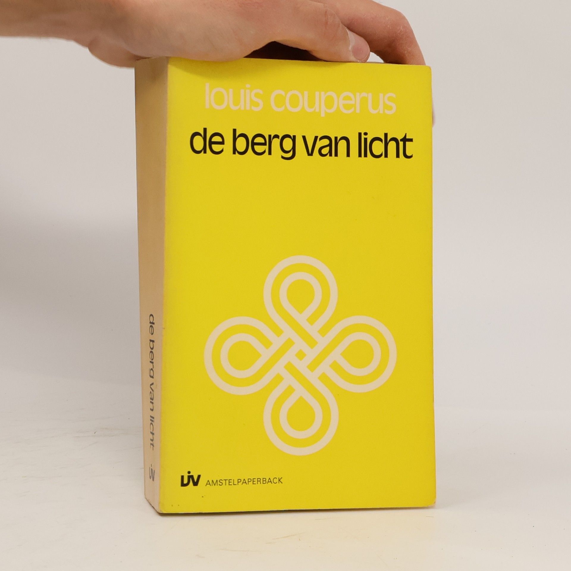 De berg van licht