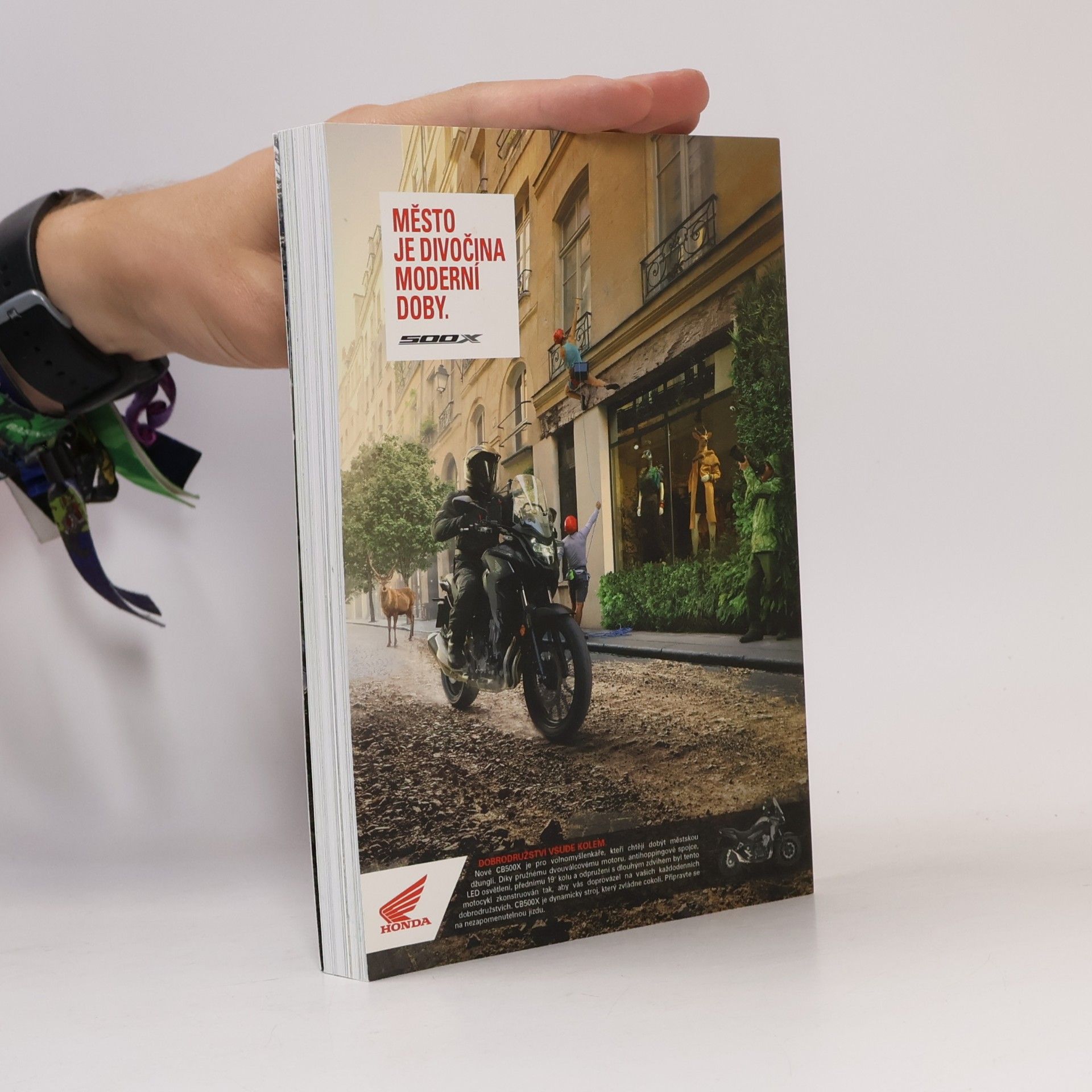 Petr Fryč Hory & zatáčky - Alpský motorkářský průvodce