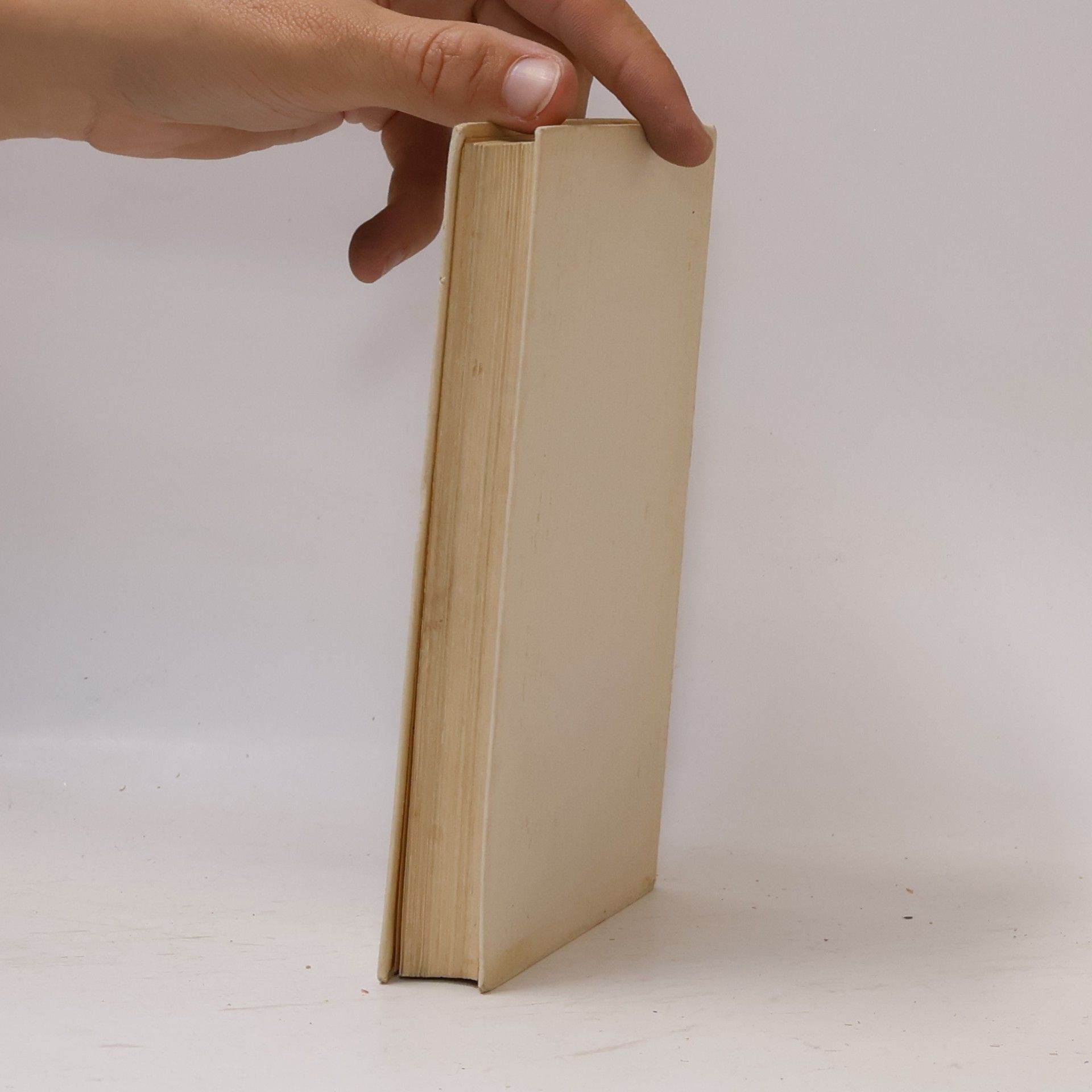 Blaise Pascal Vermächtnis eines grossen Herzens. Die kleineren Schriften