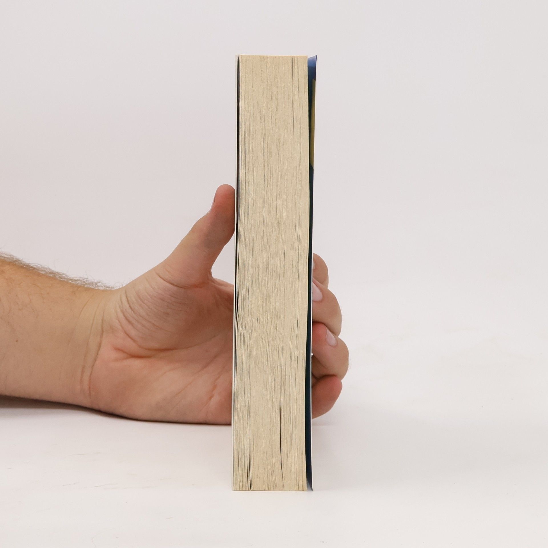 Jennifer Niven Holding Up the Universe