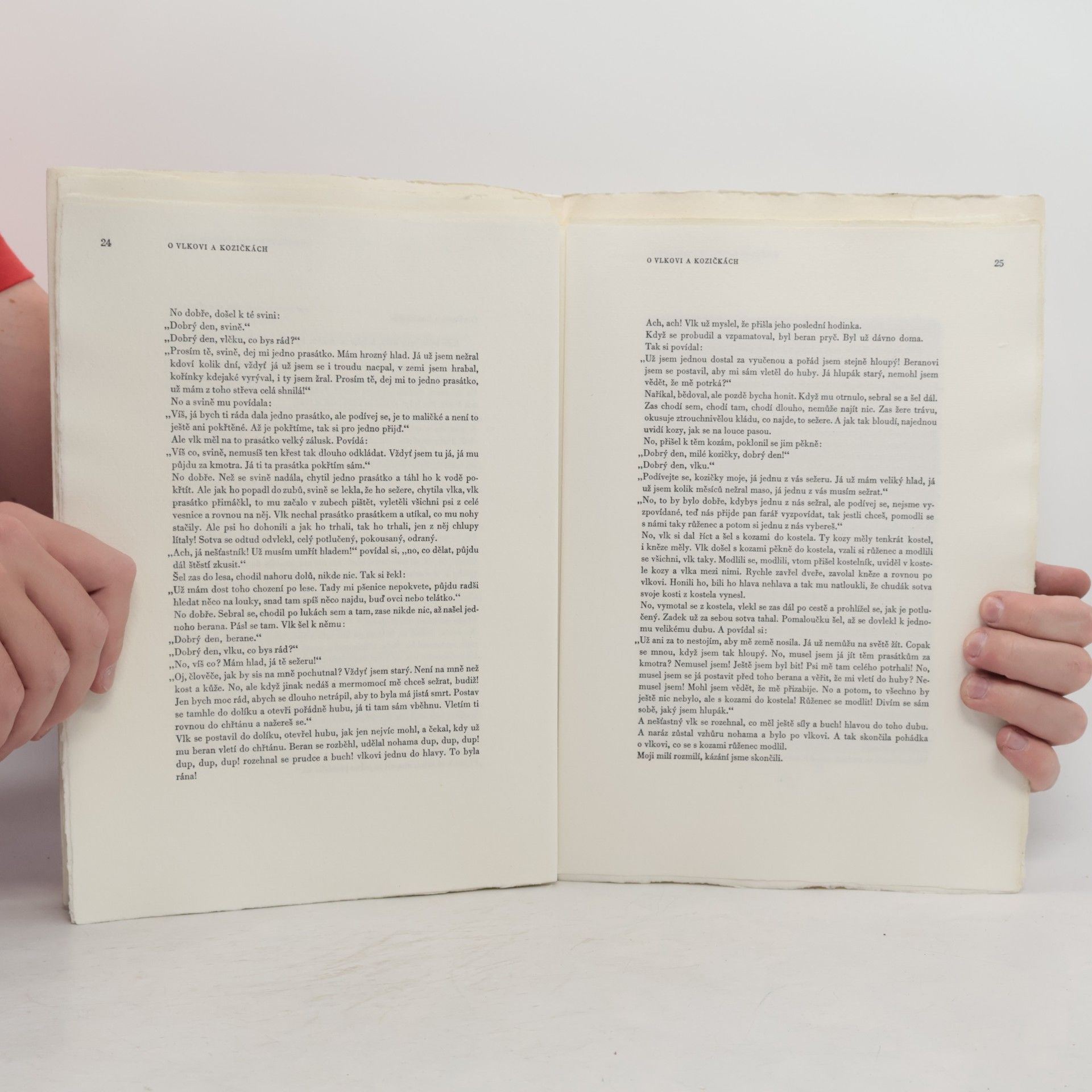 Autorenkollektiv Z kytice slovenských pohádek Karla Plicky