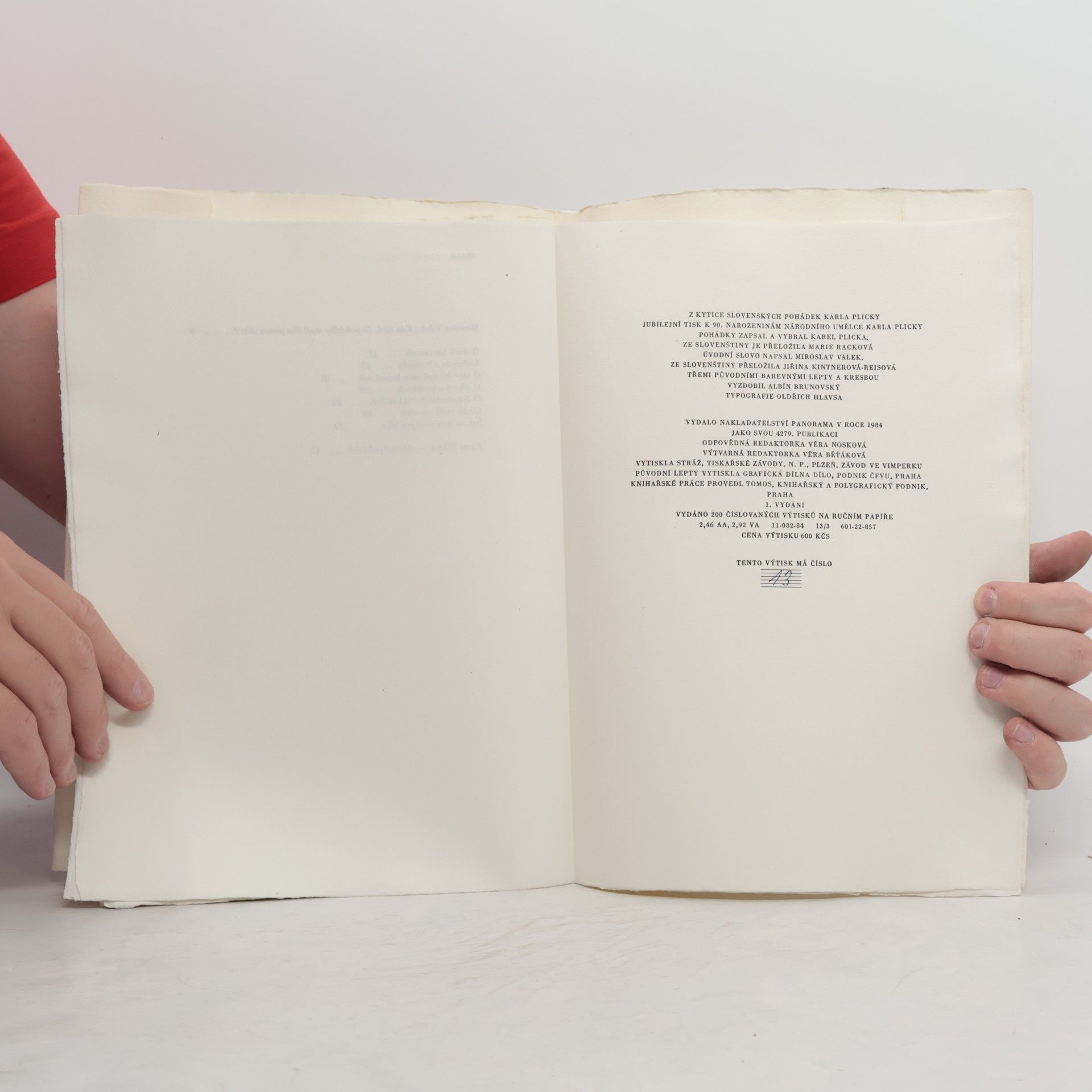 Autorenkollektiv Z kytice slovenských pohádek Karla Plicky