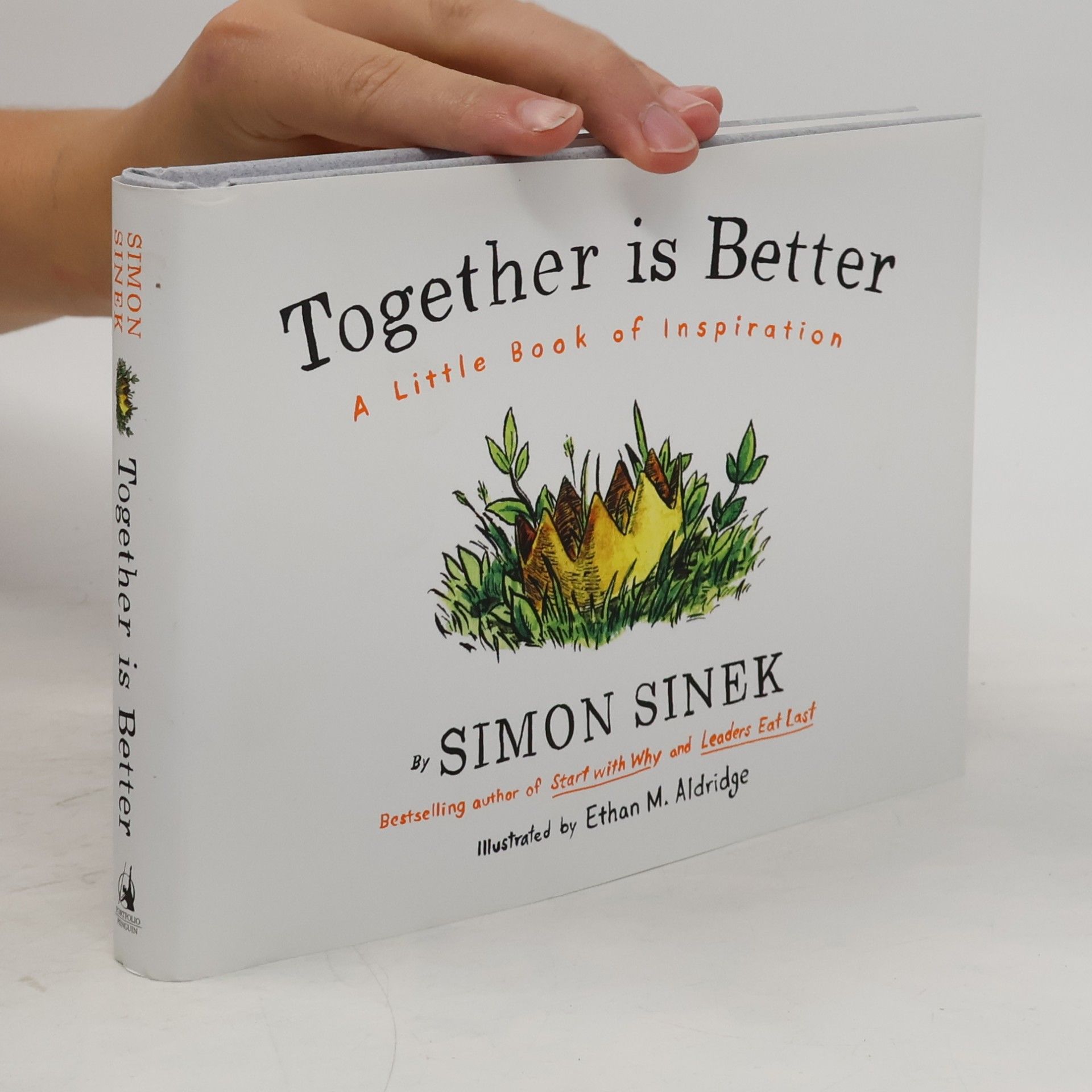Simon Sinek Together Is Better