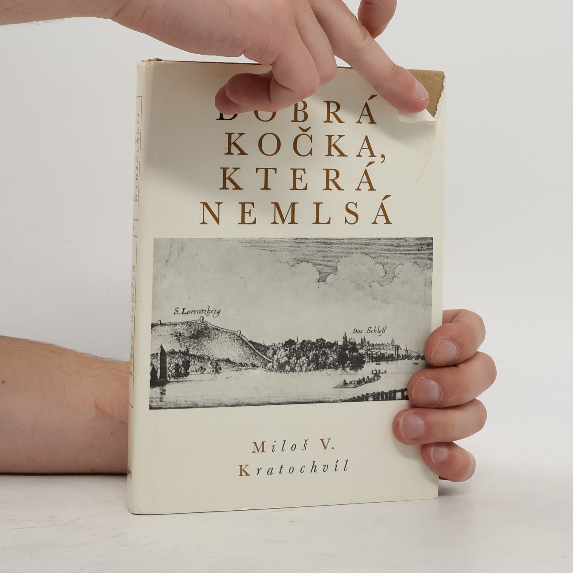 Miloš Kratochvíl Dobrá kočka, která nemlsá