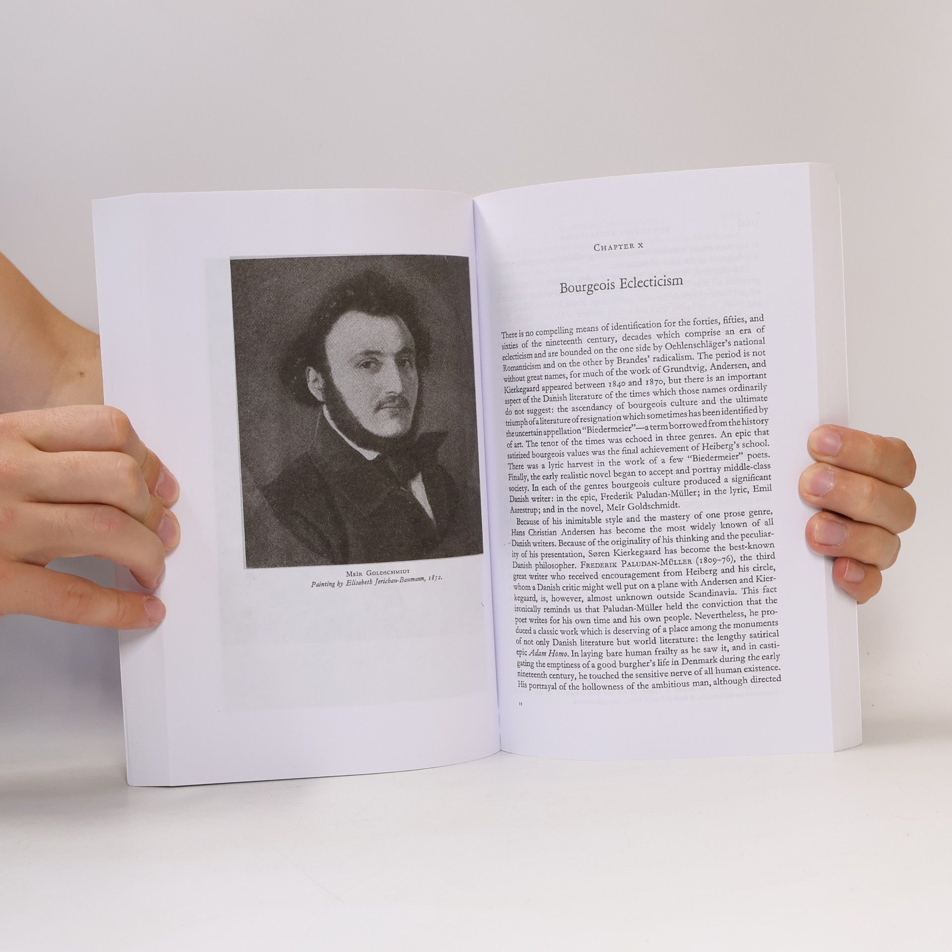 Phillip Marshall Mitchell A History of Danish Literature