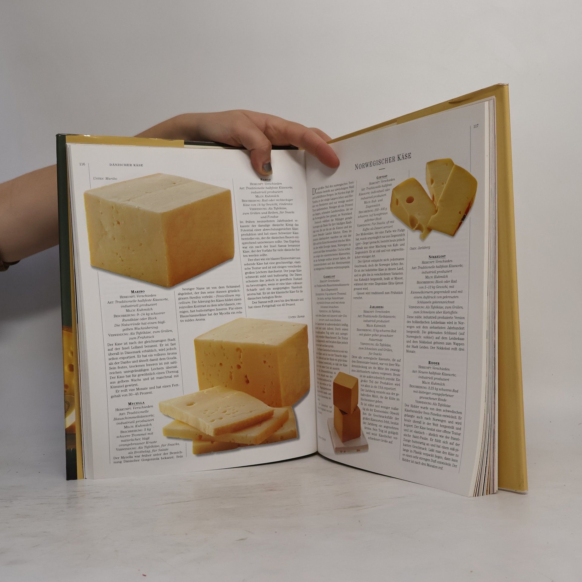 Roz Denny Das große Buch des feinen Geschmacks Käse