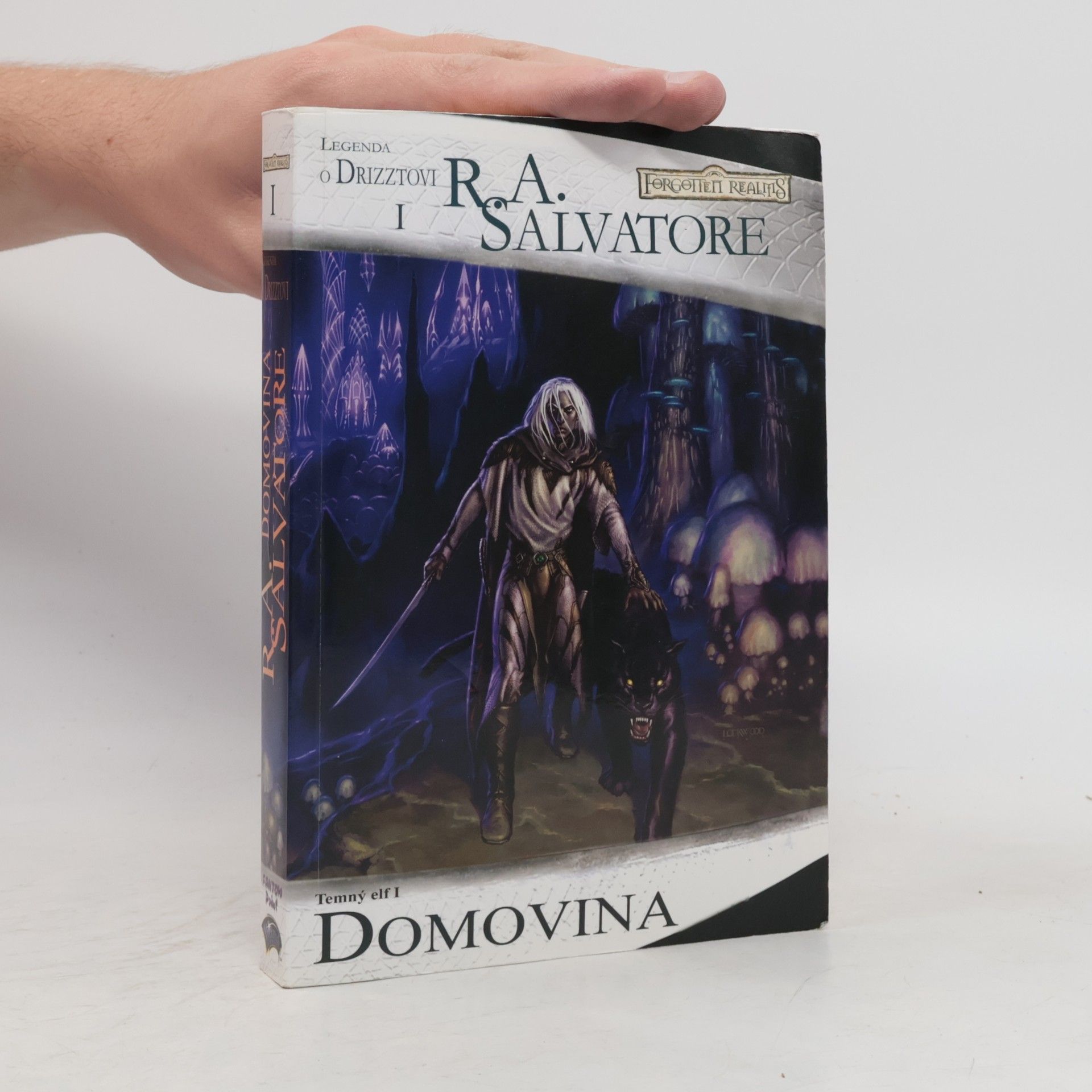 R. A. Salvatore Temný elf I. Domovina