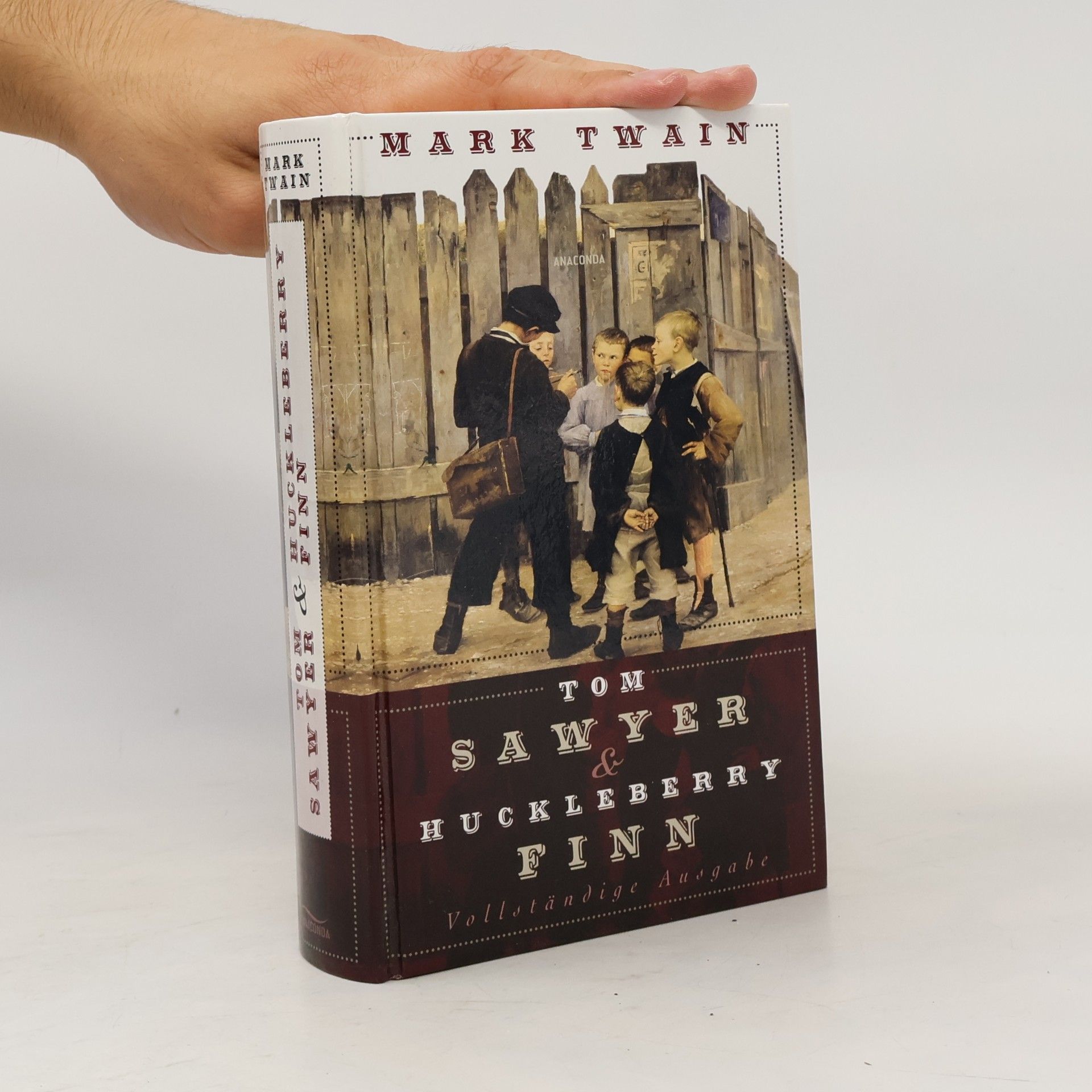 Mark Twain Tom Sawyer und Huckleberry Finn