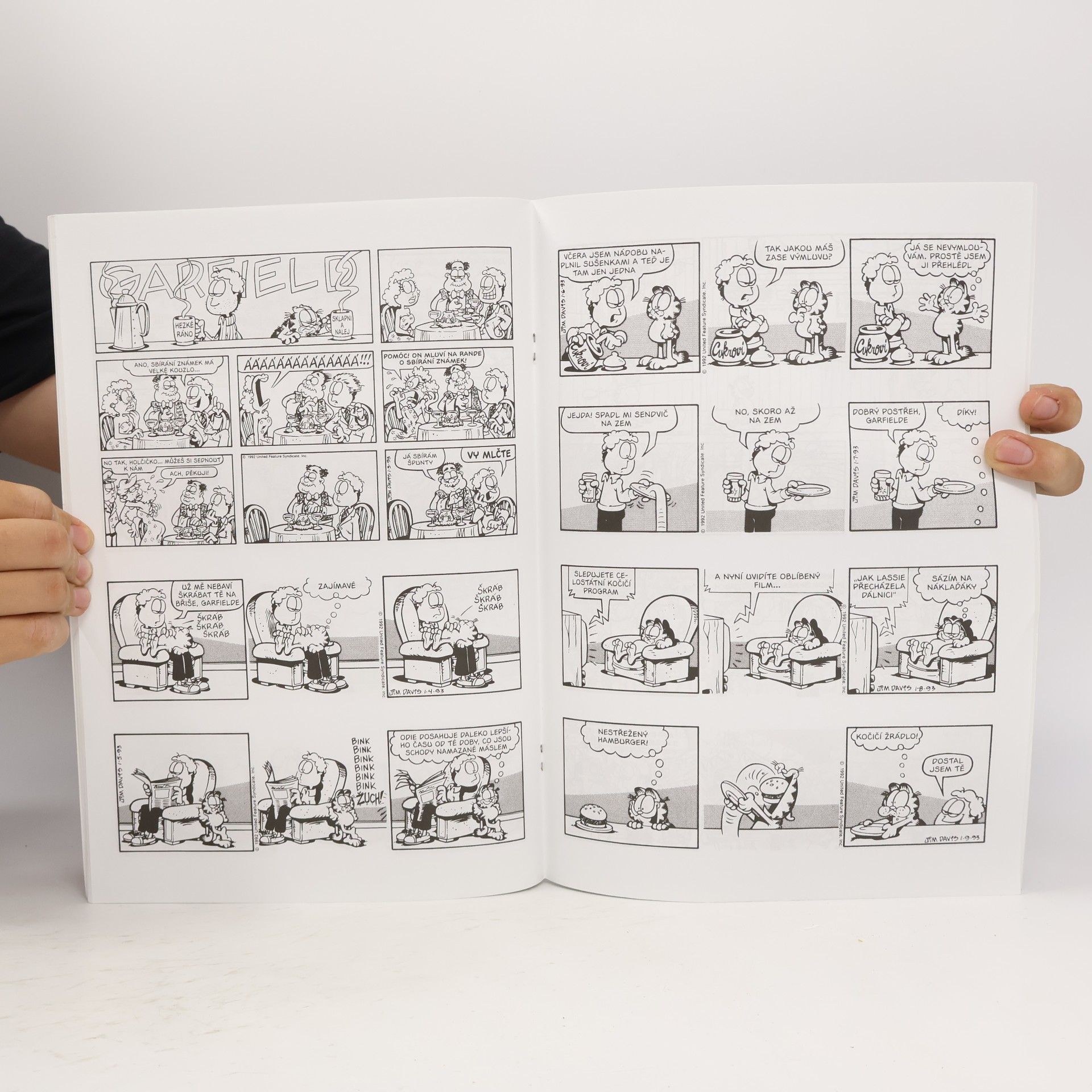 Jim Davis Garfield : tučná léta
