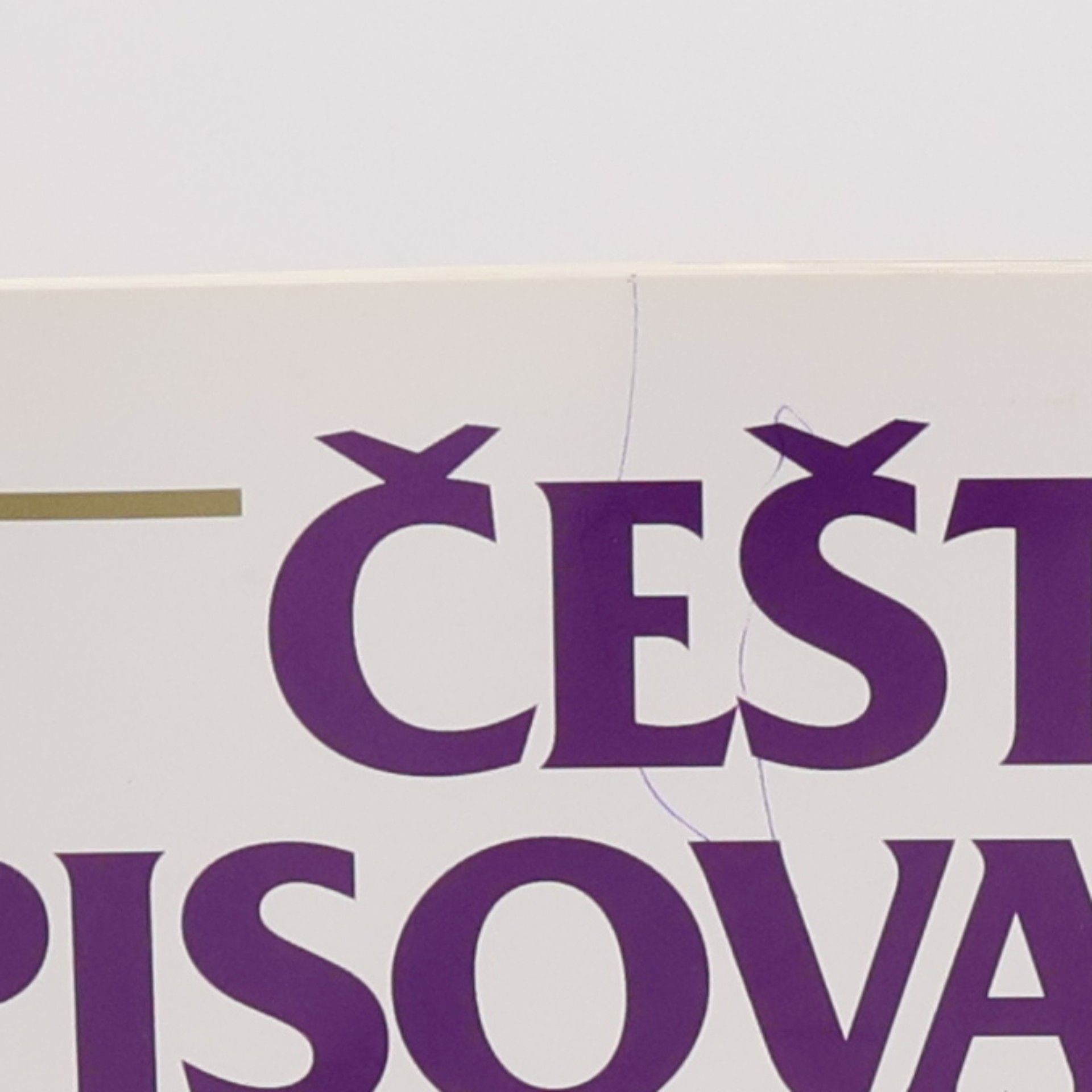 Veronika Volhejnová Čeští spisovatelé