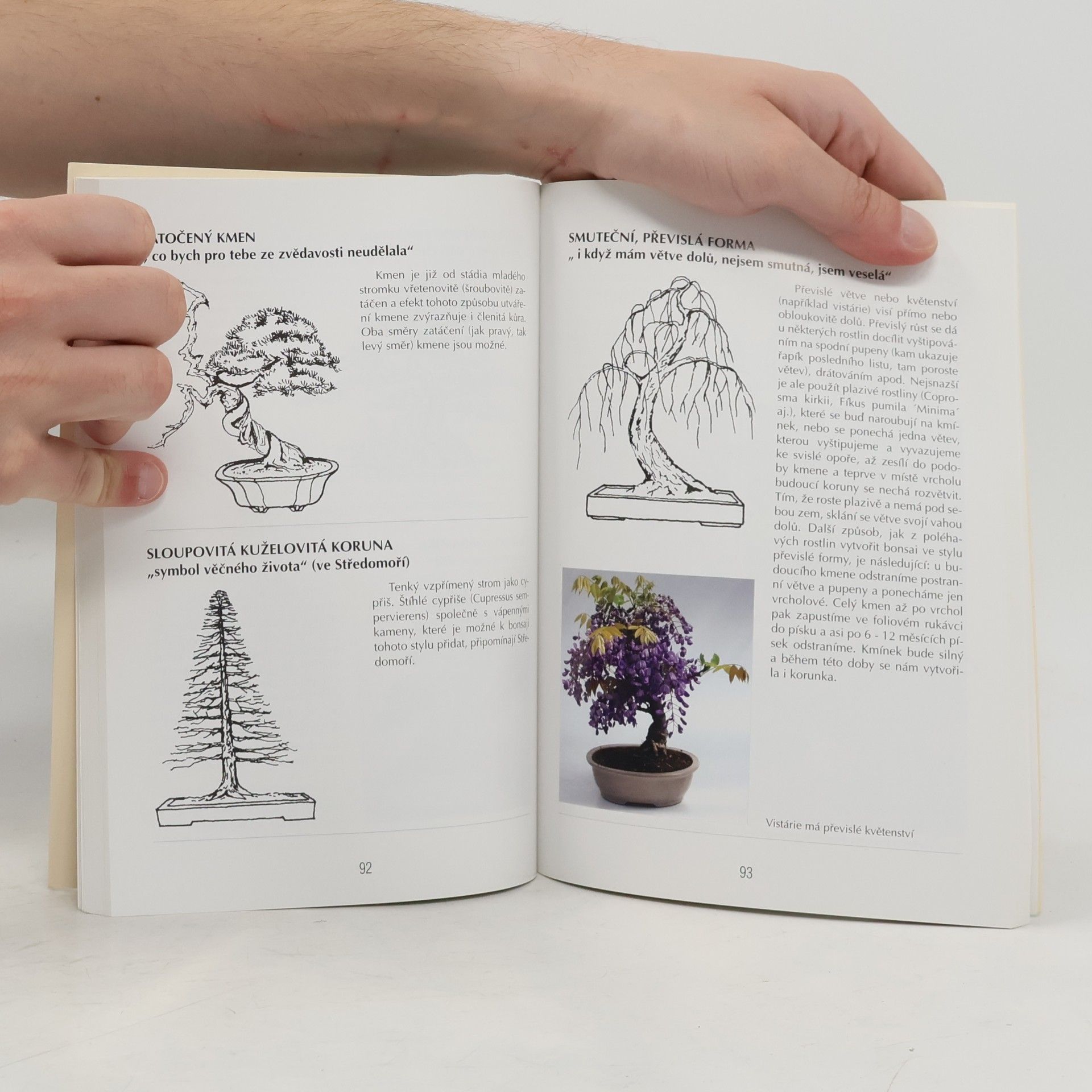 Jaroslav Pišl Bonsai nejen v paneláku