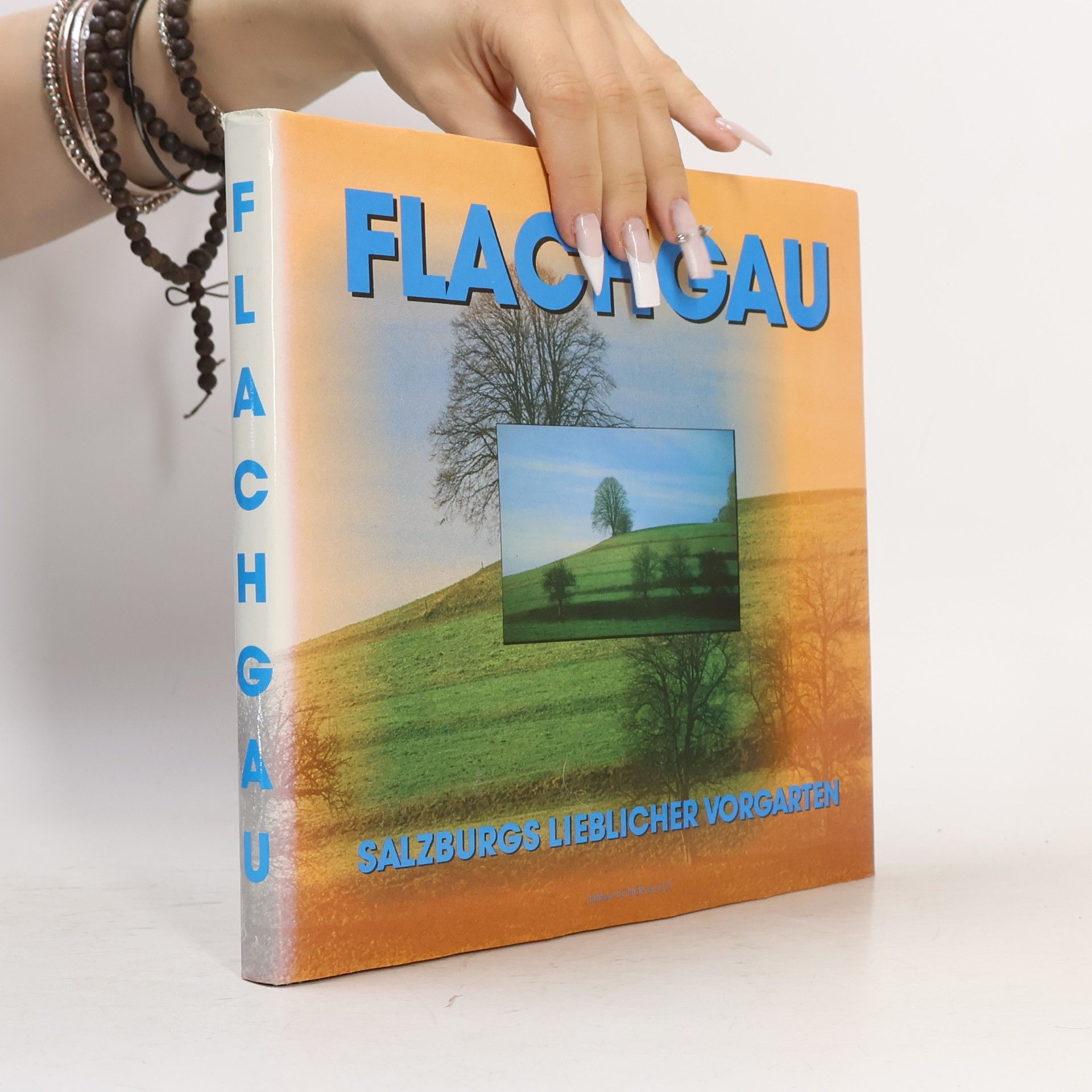 Kolektiv autorů Der Flachgau
