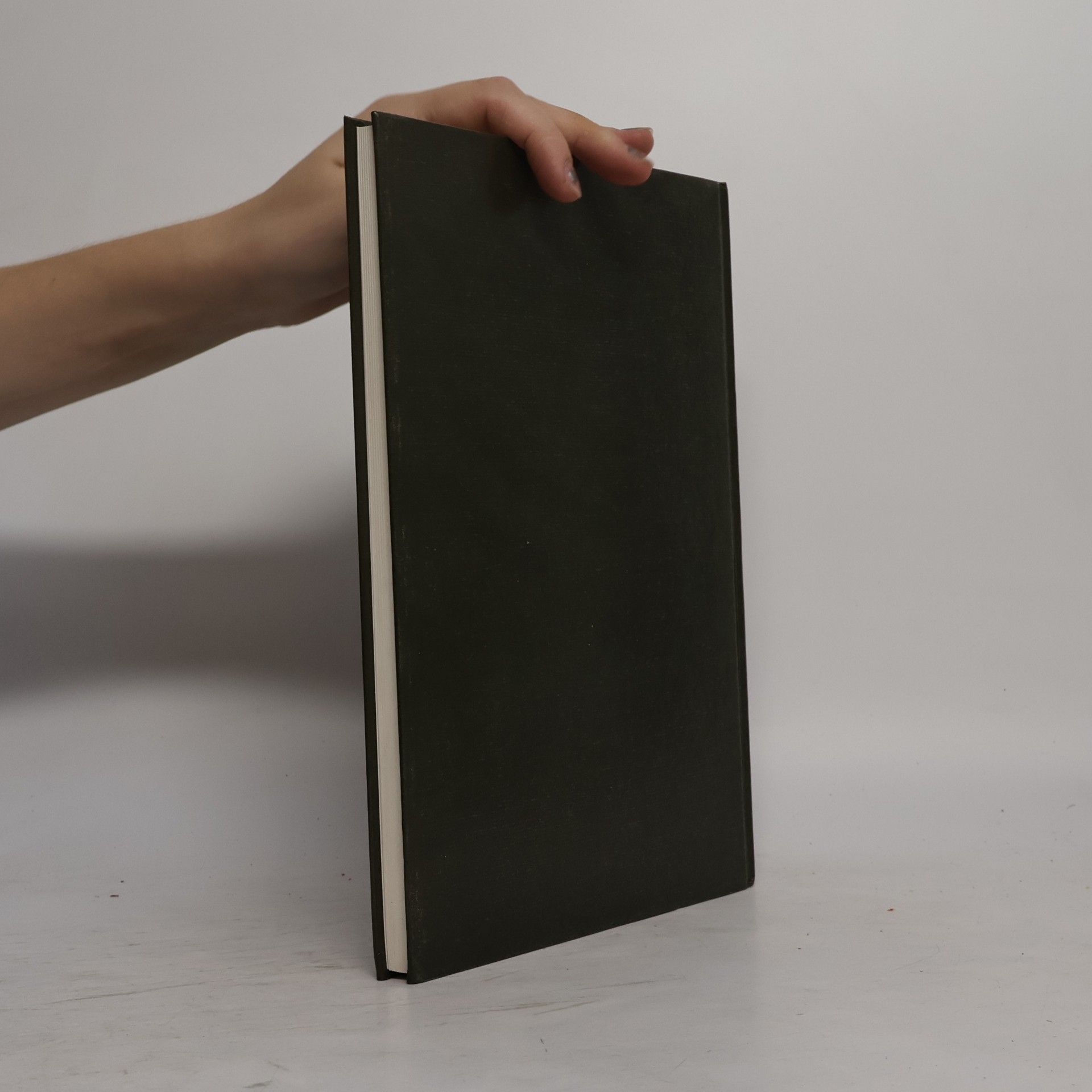 Fritz Schumacher Callwey Reprint: Das Wesen des neuzeitlichen Backsteinbaues