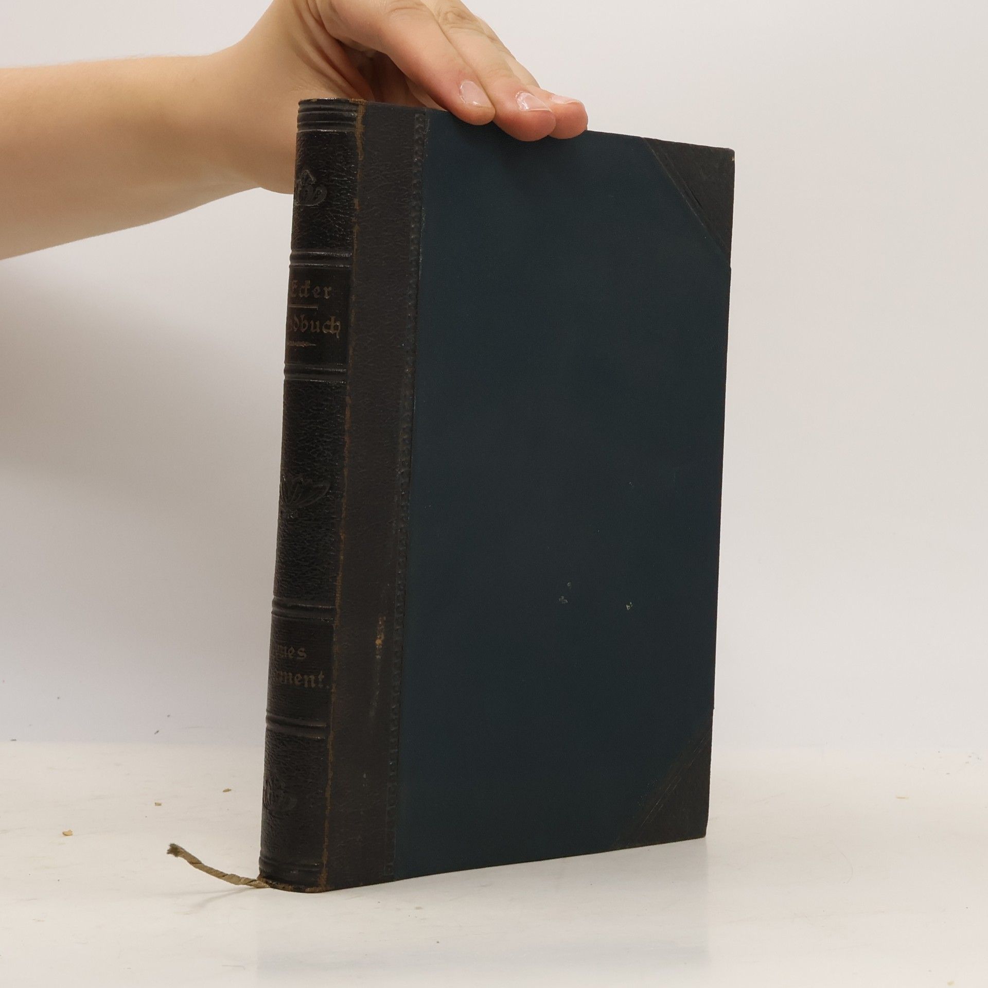 Handbuch zur Katholischen Schulbibel 2