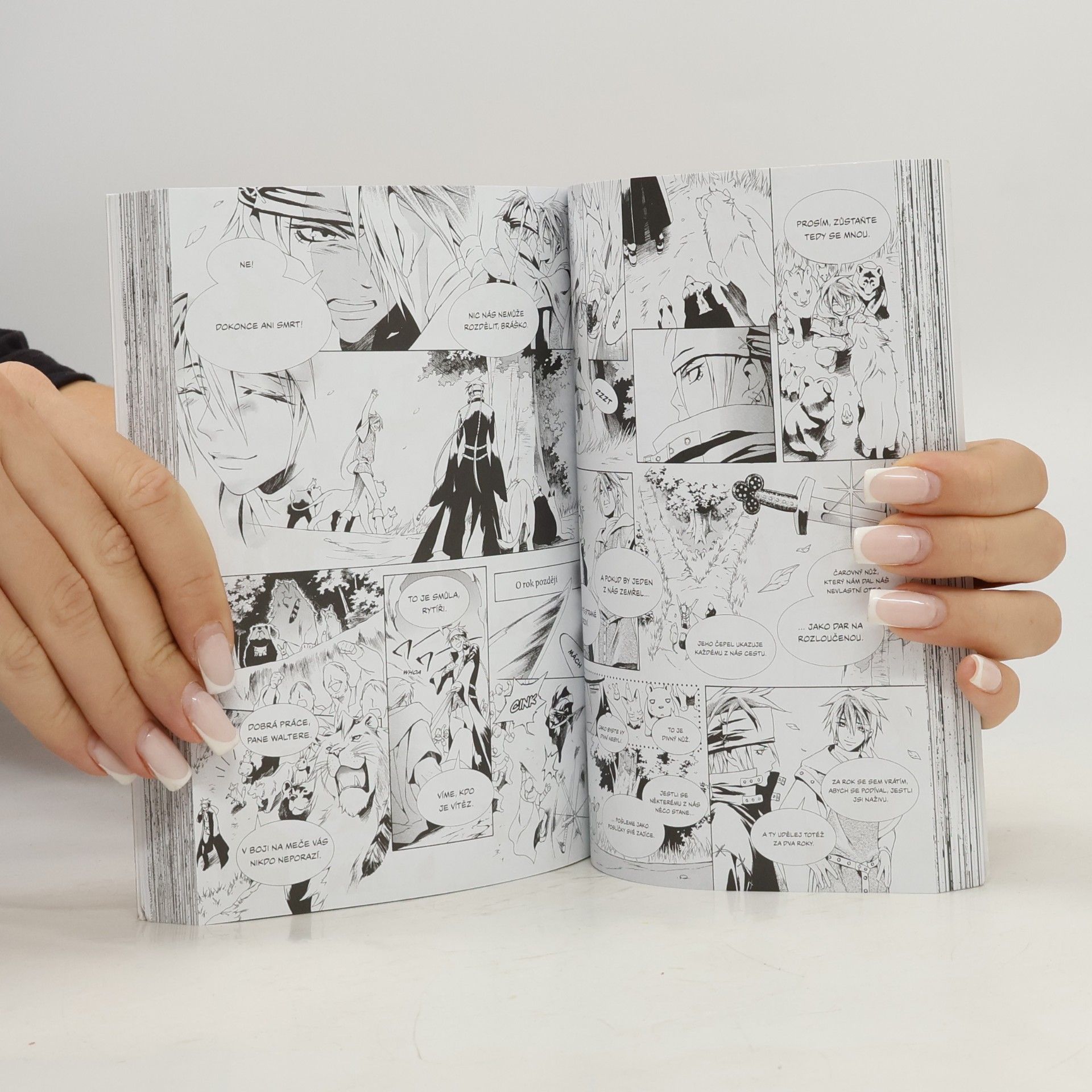 Kei Ishiyama Manga příběhy bratří Grimmů