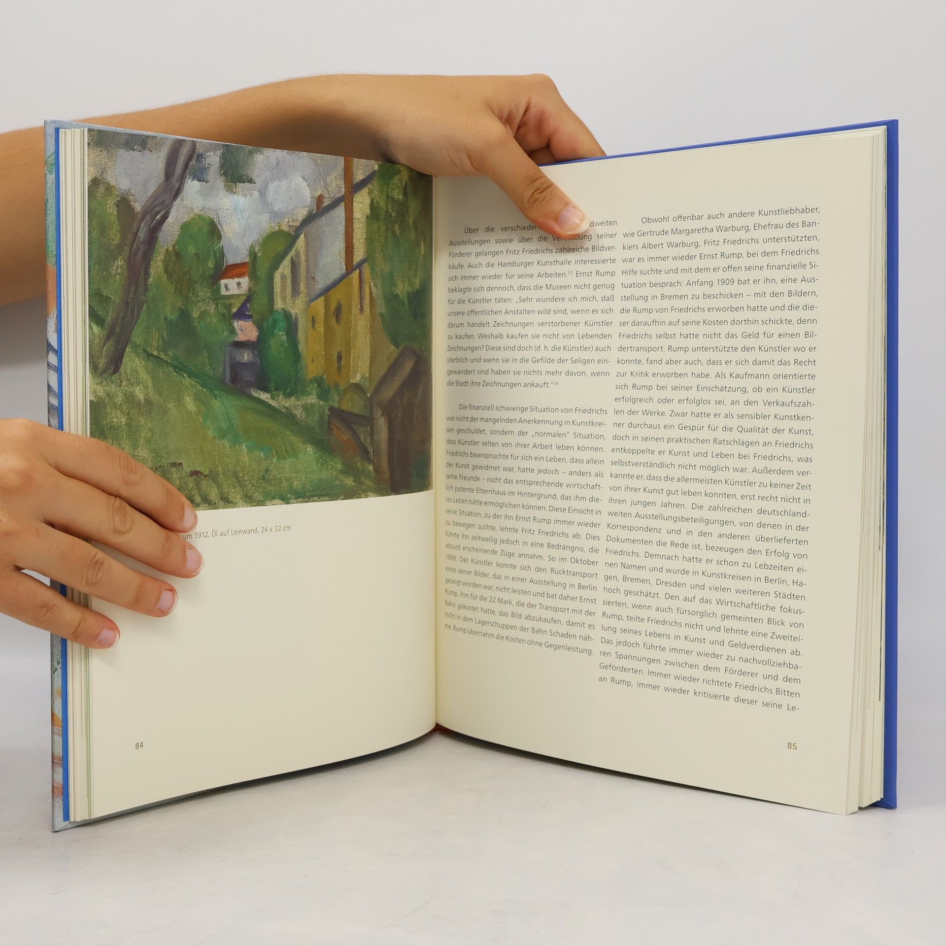 Friederike Held-Weimar Der Hamburger Postimpressionist Fritz Friedrichs