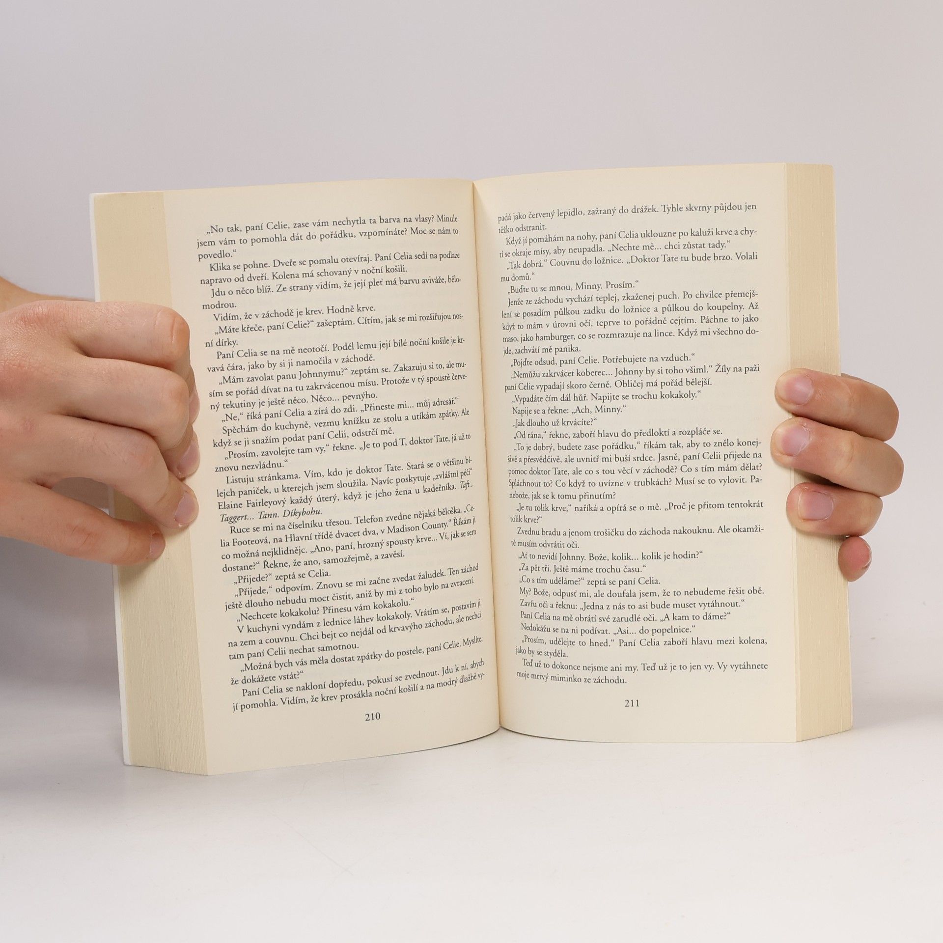 Kathryn Stockett Černobílý svět