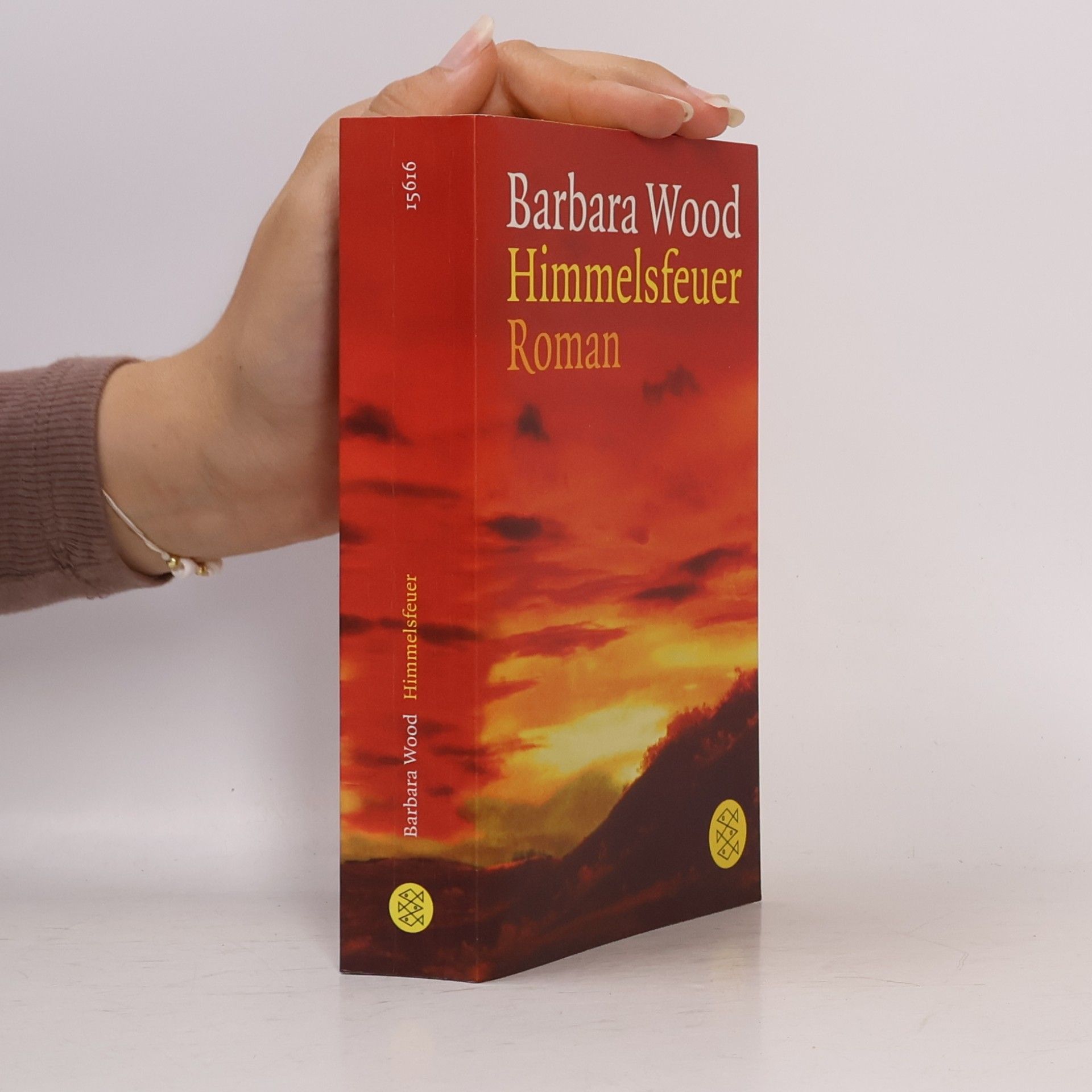 Barbara Wood Himmelsfeuer
