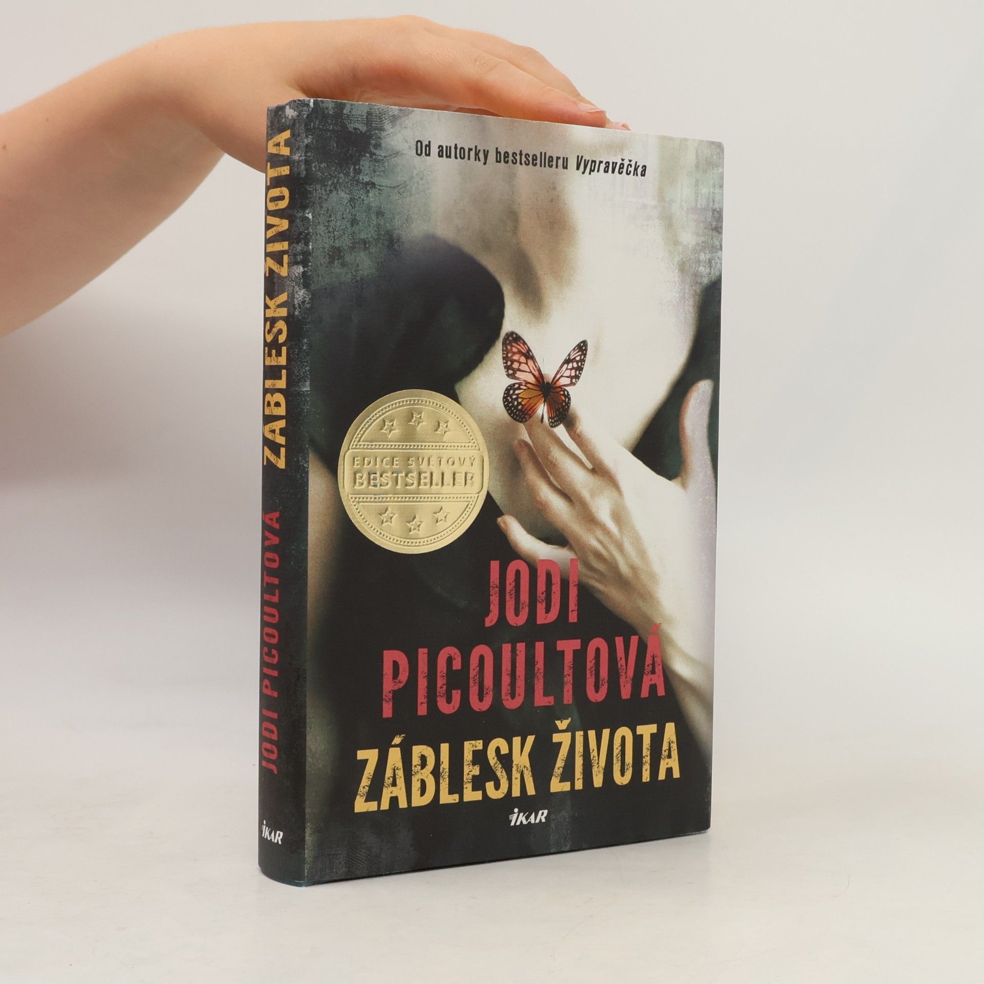Jodi Picoult Záblesk života