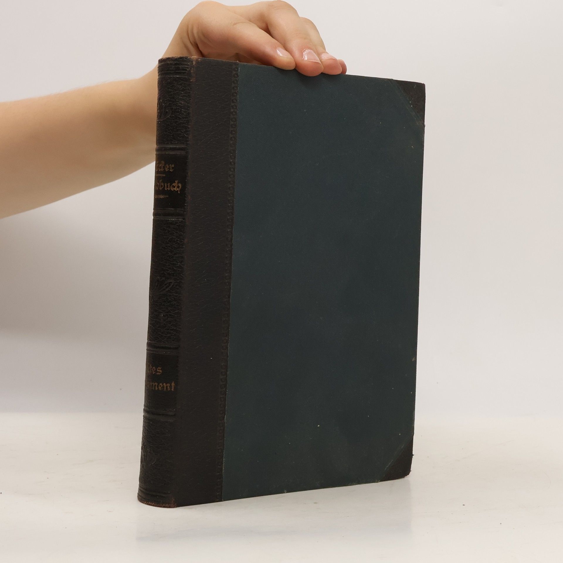 Handbuch zur Katholischen Schulbibel
