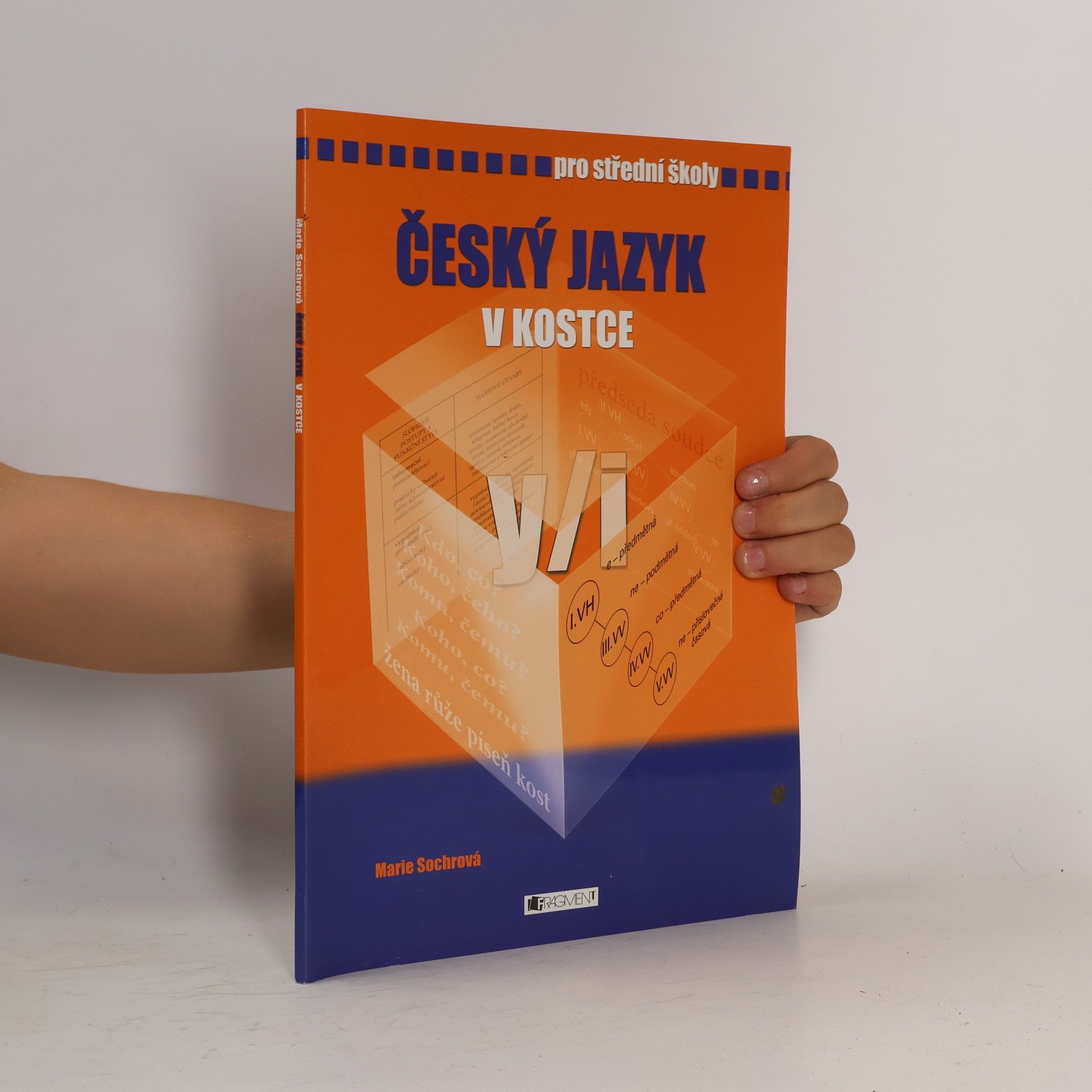 Marie Sochrová Český jazyk v kostce : pro střední školy