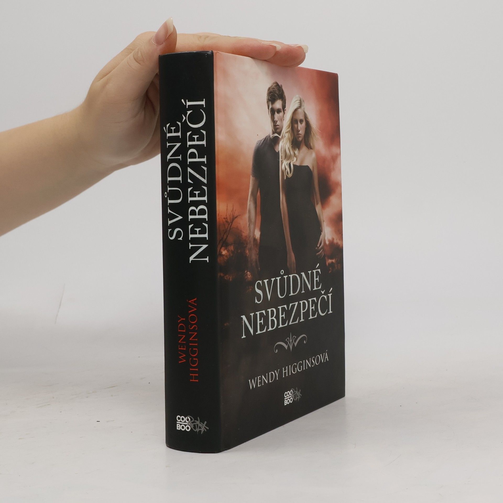 Wendy Higgins Svůdné nebezpečí