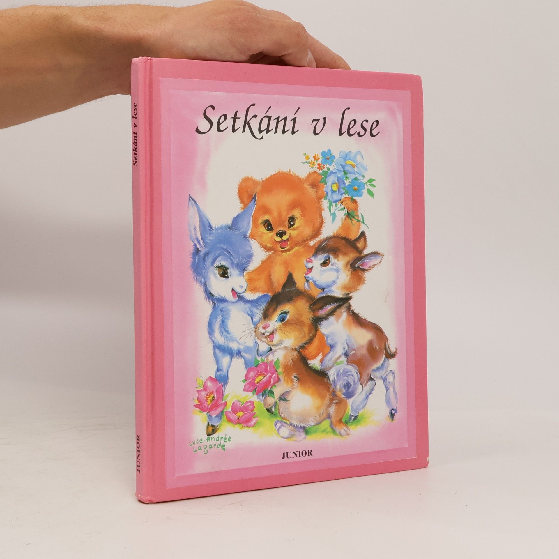 Luce Andrée Lagarde Setkání v lese