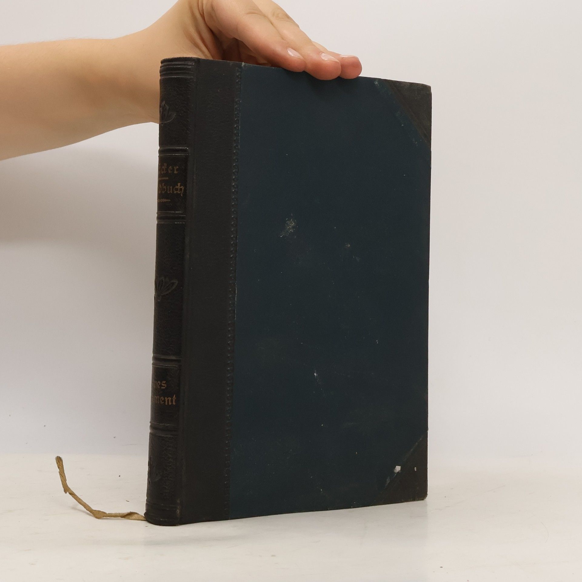 Jakob Ecker Handbuch zur Katholischen Schulbibel
