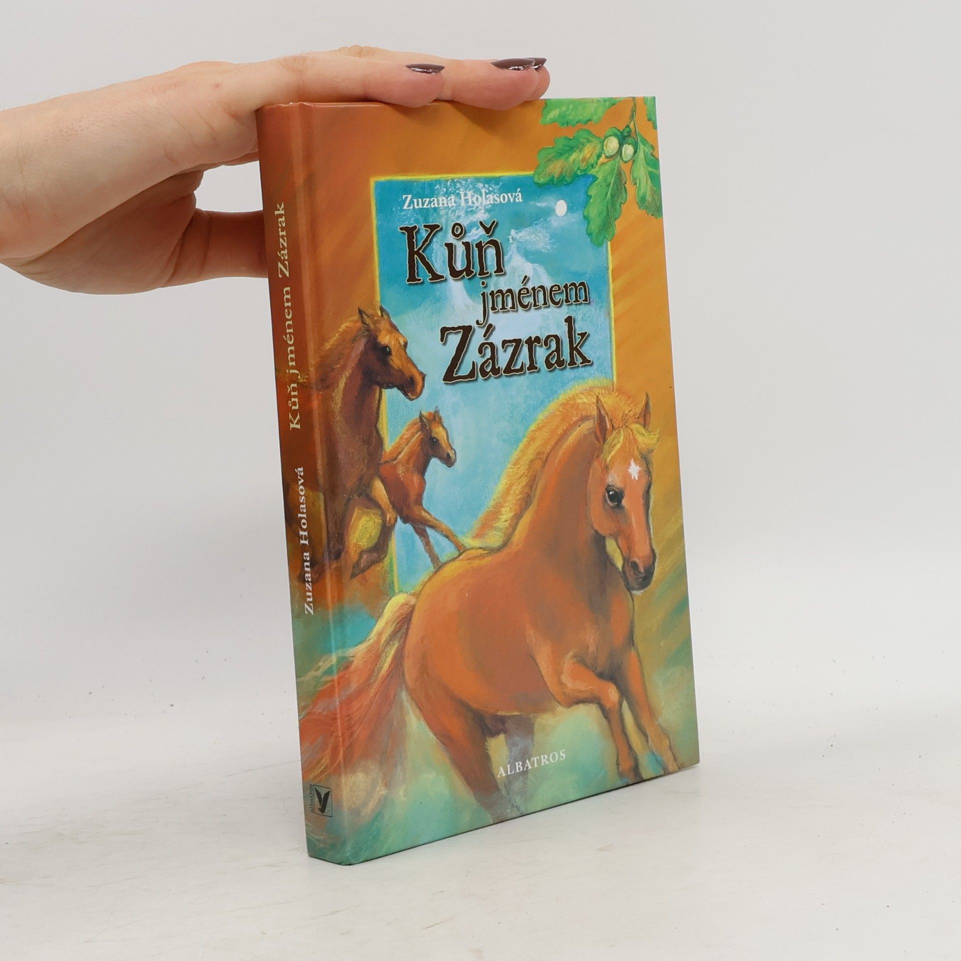 Zuzana Holasova Kůň jménem Zázrak
