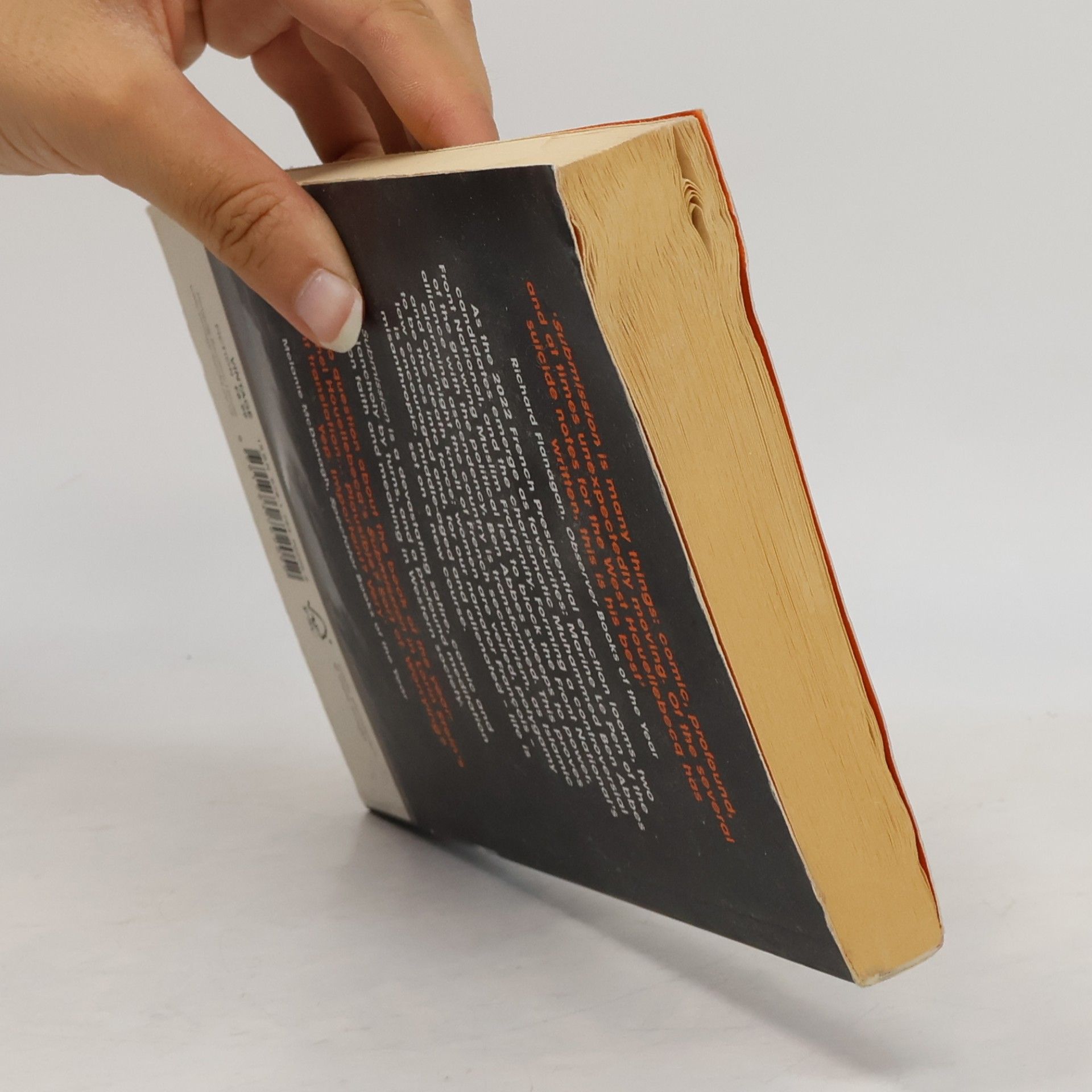 Michel Houellebecq Submission