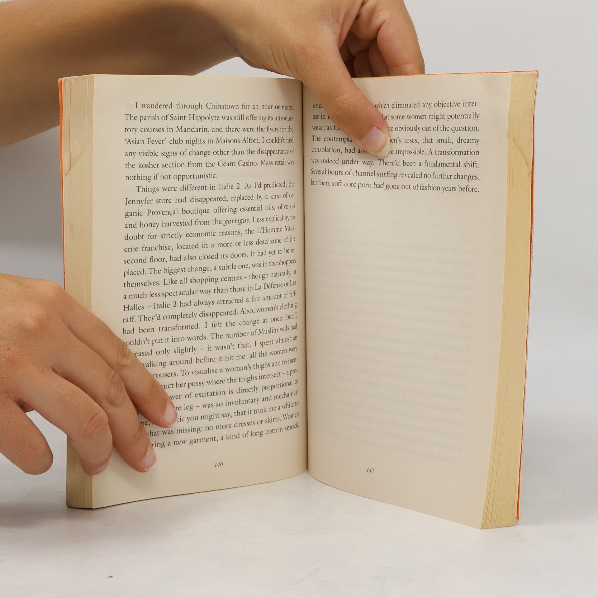Michel Houellebecq Submission