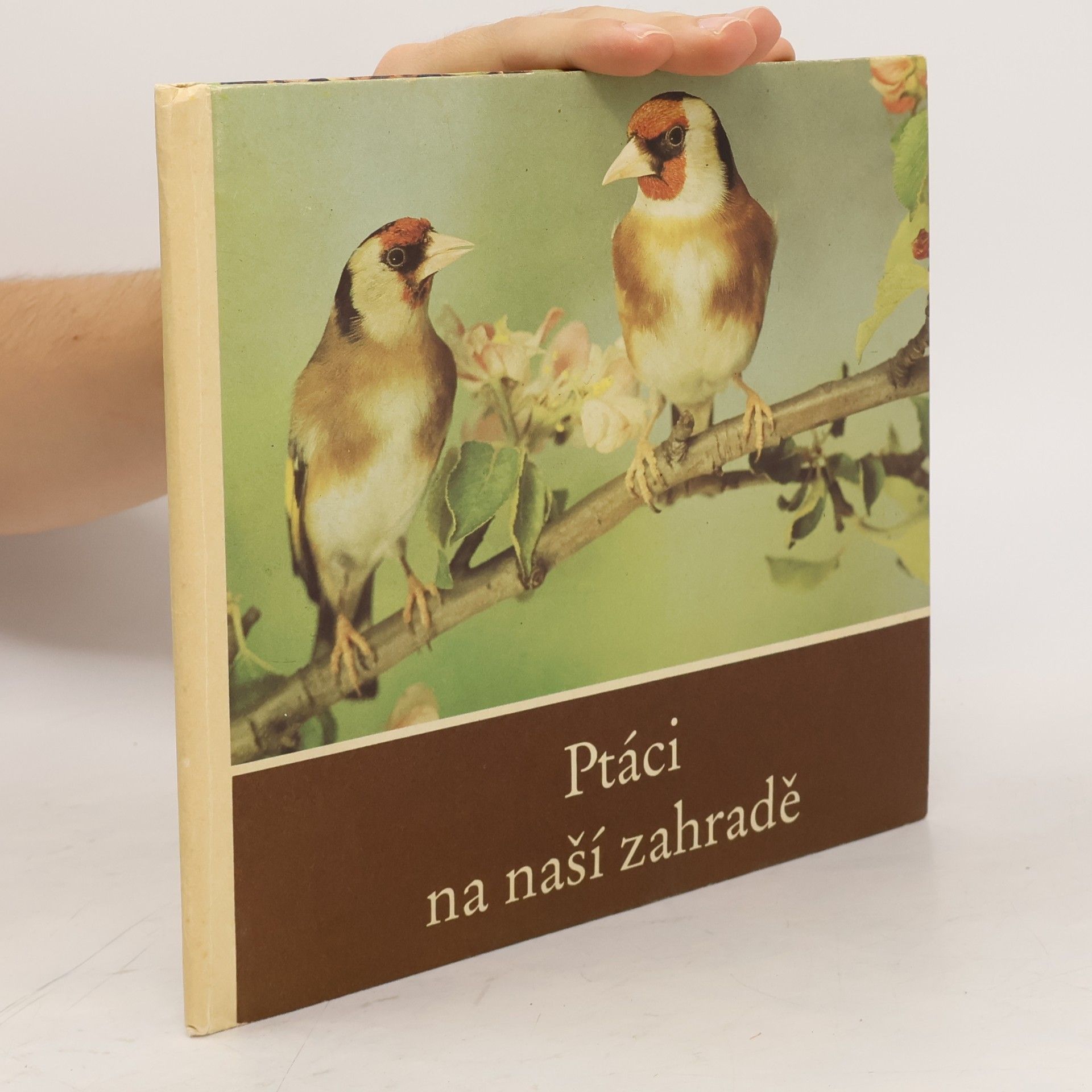 Helmut Massny Ptáci na naší zahradě