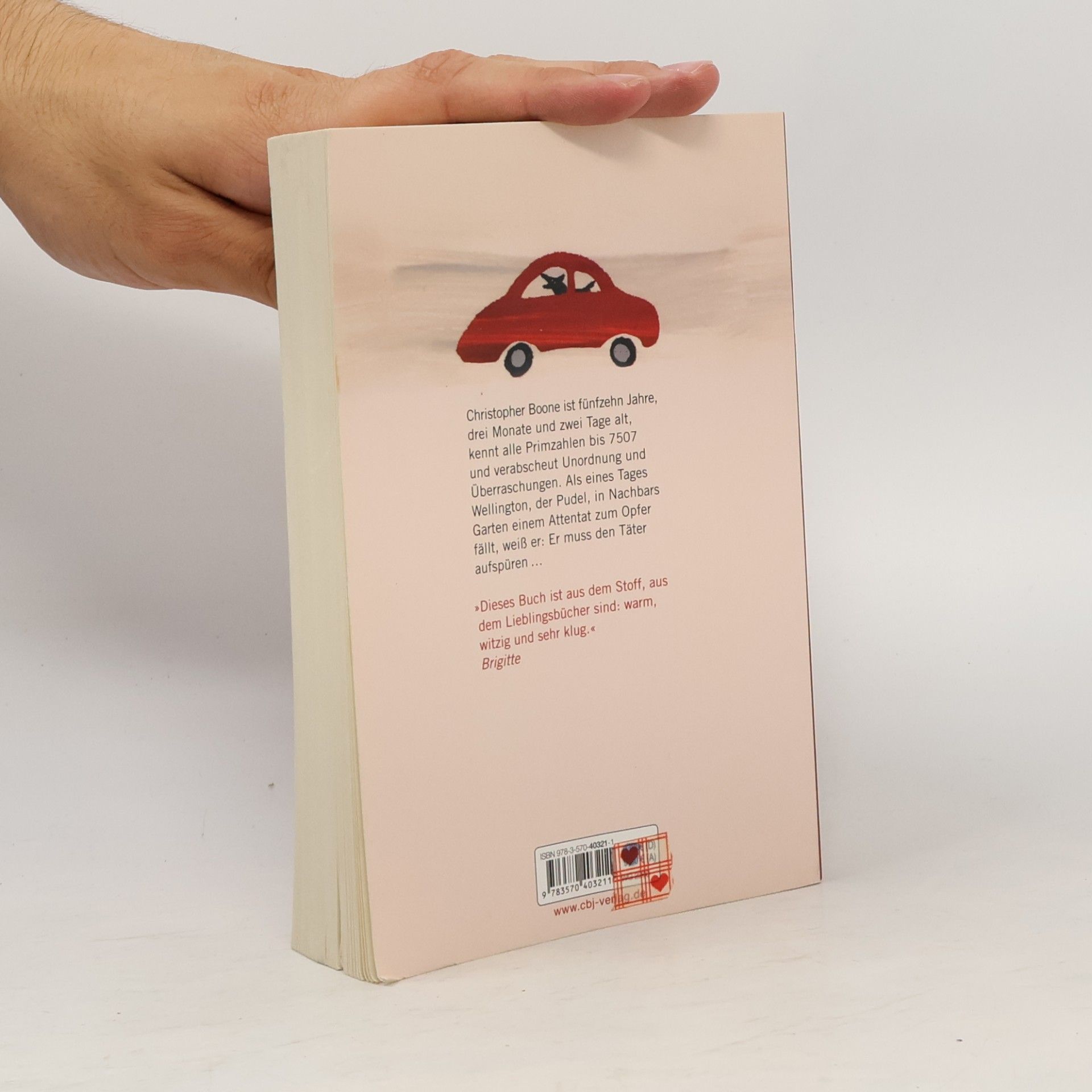 Mark Haddon Supergute Tage oder die sonderbare Welt des Christopher Boone