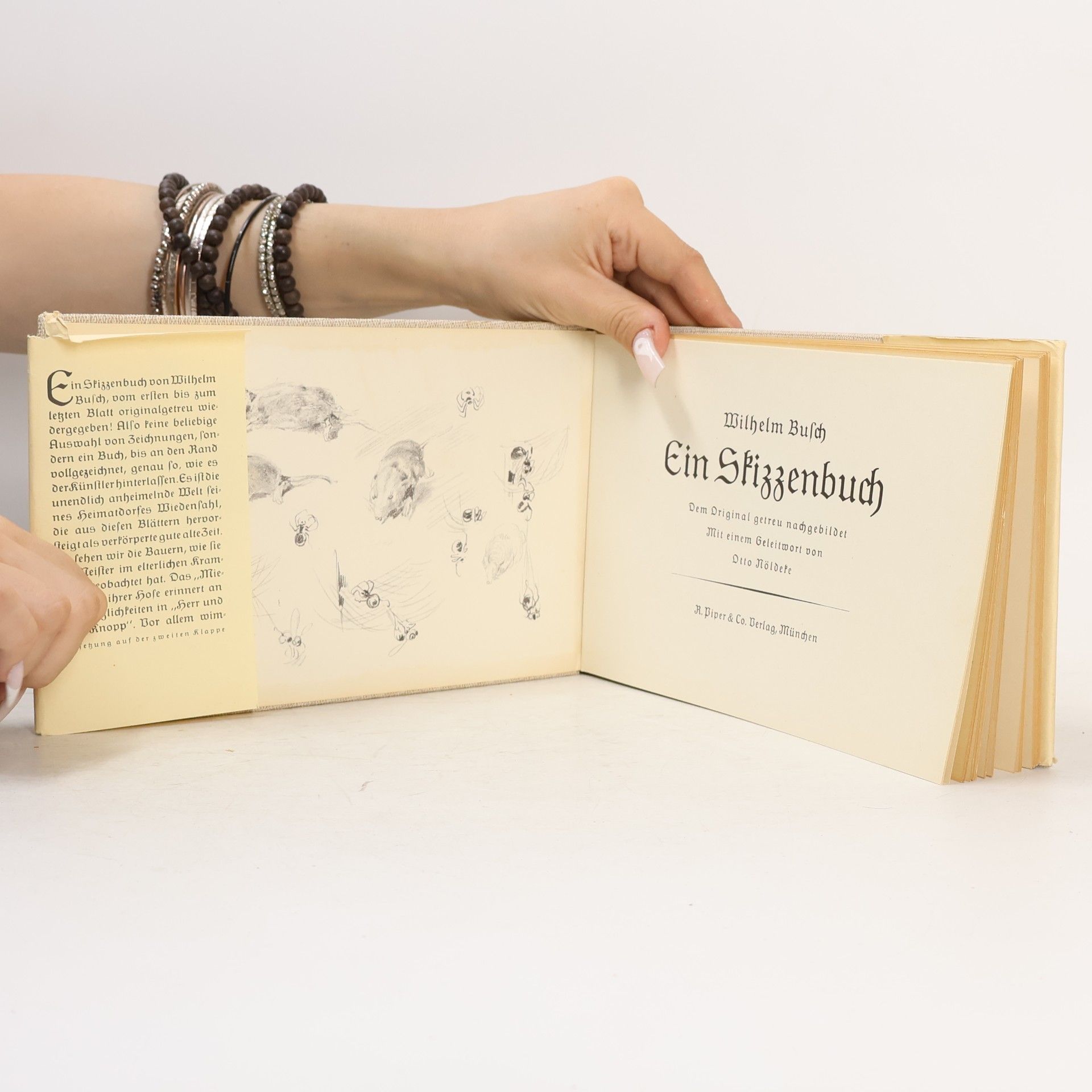 Wilhelm Busch Ein Skizzenbuch