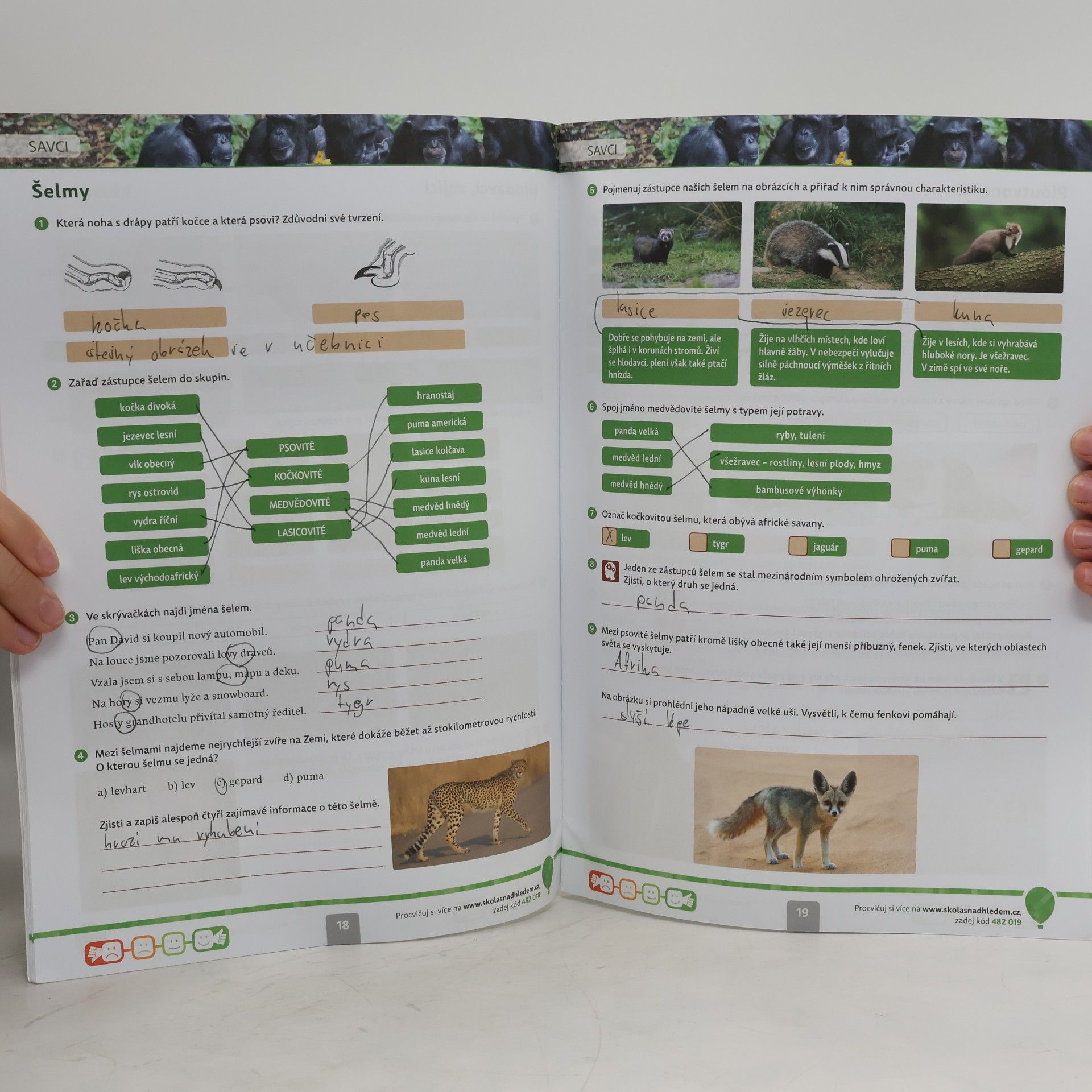 Autores varios Přírodopis s nadhledem 8 : pracovní sešit pro základní školy a víceletá gymnázia